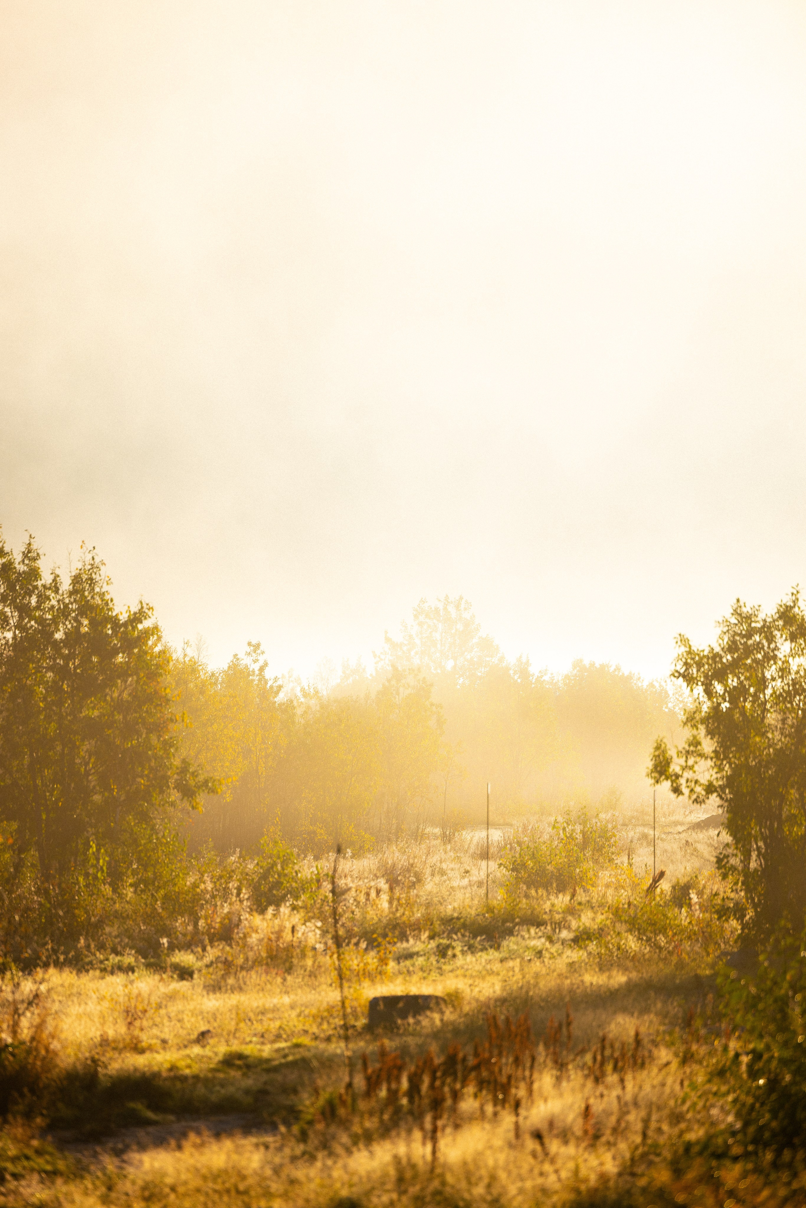 Кольский. Фотограф и видеограф анималист Аганина Дарья