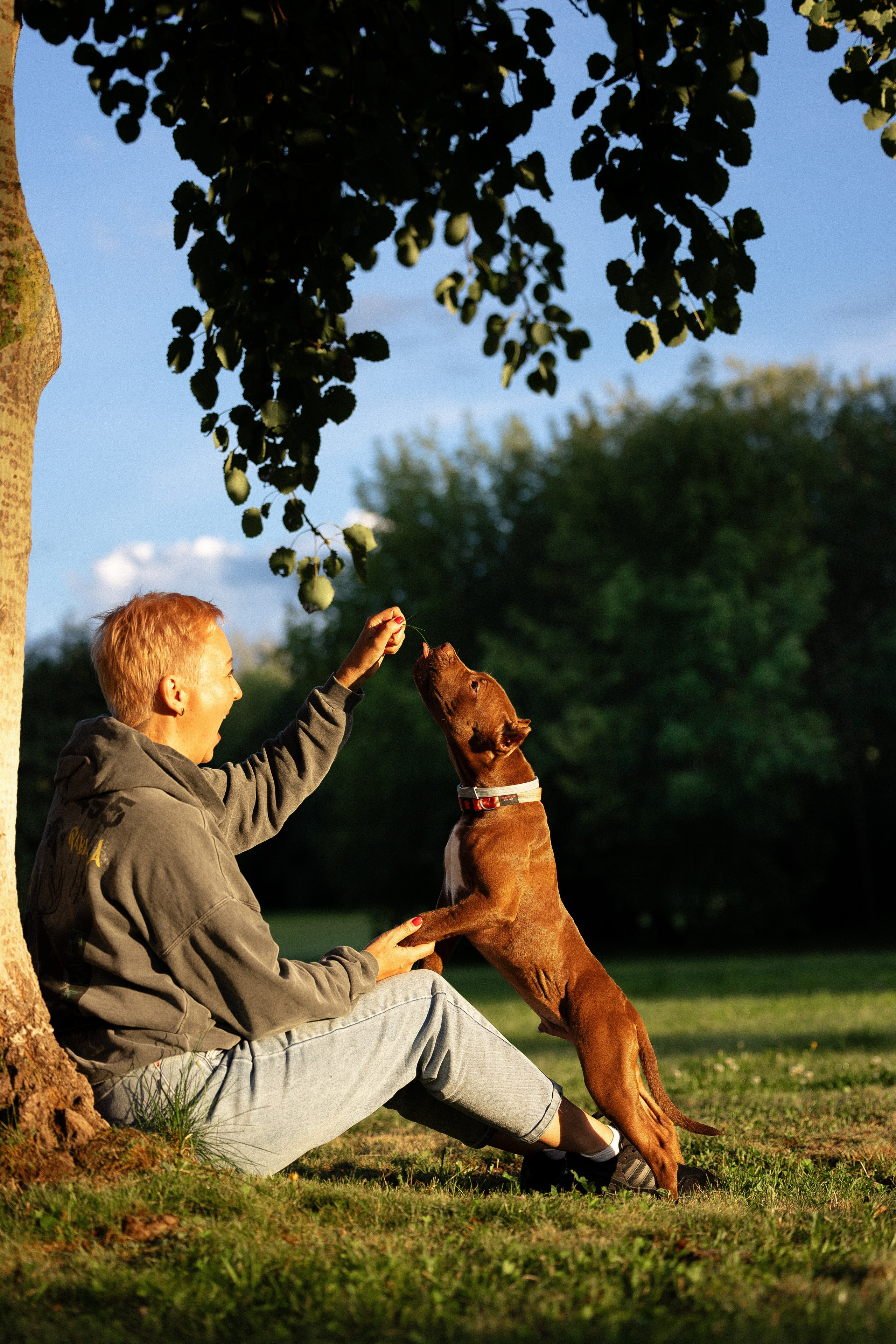 Елена и Хан. Фотограф и видеограф анималист Аганина Дарья