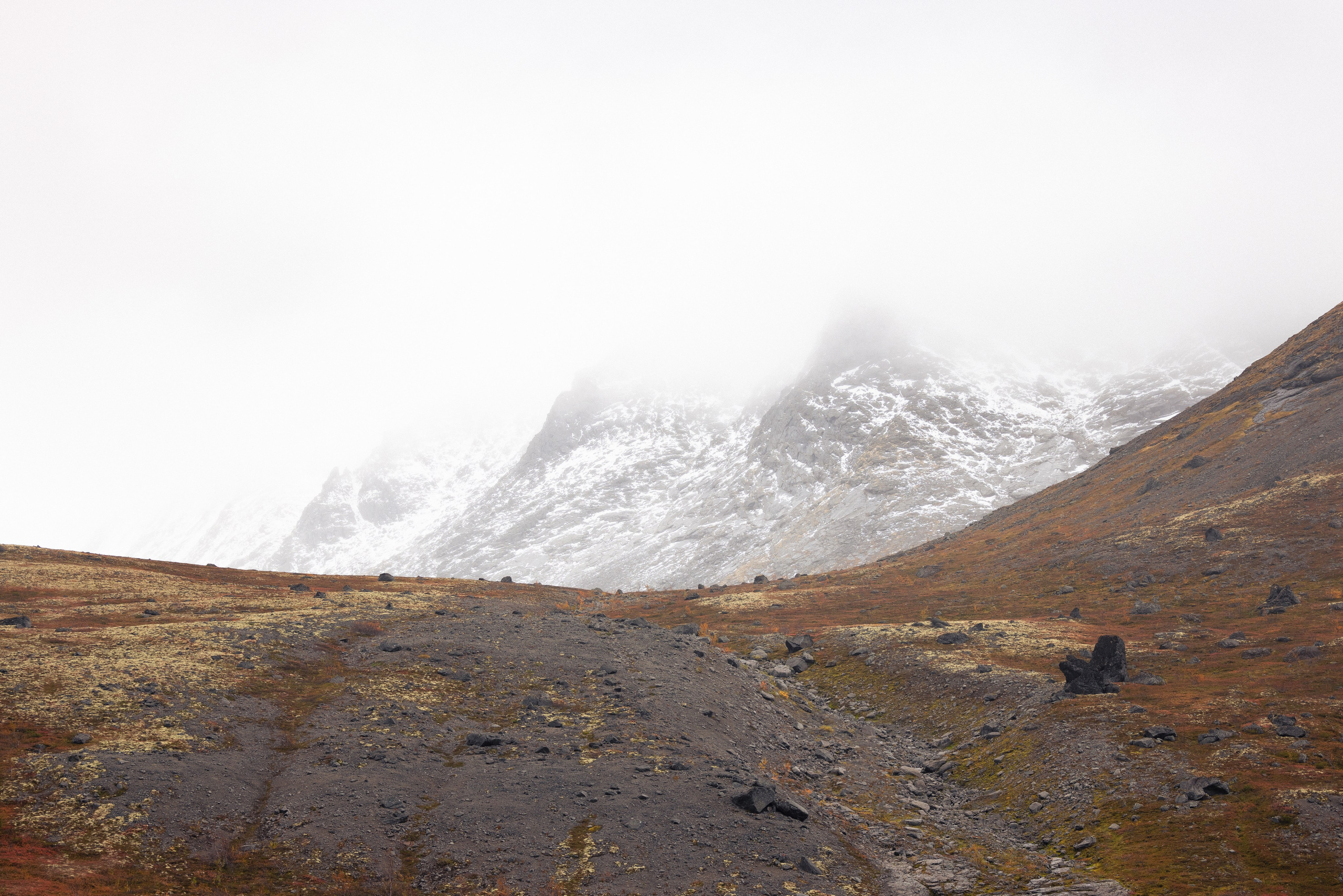 Кольский. Фотограф и видеограф анималист Аганина Дарья