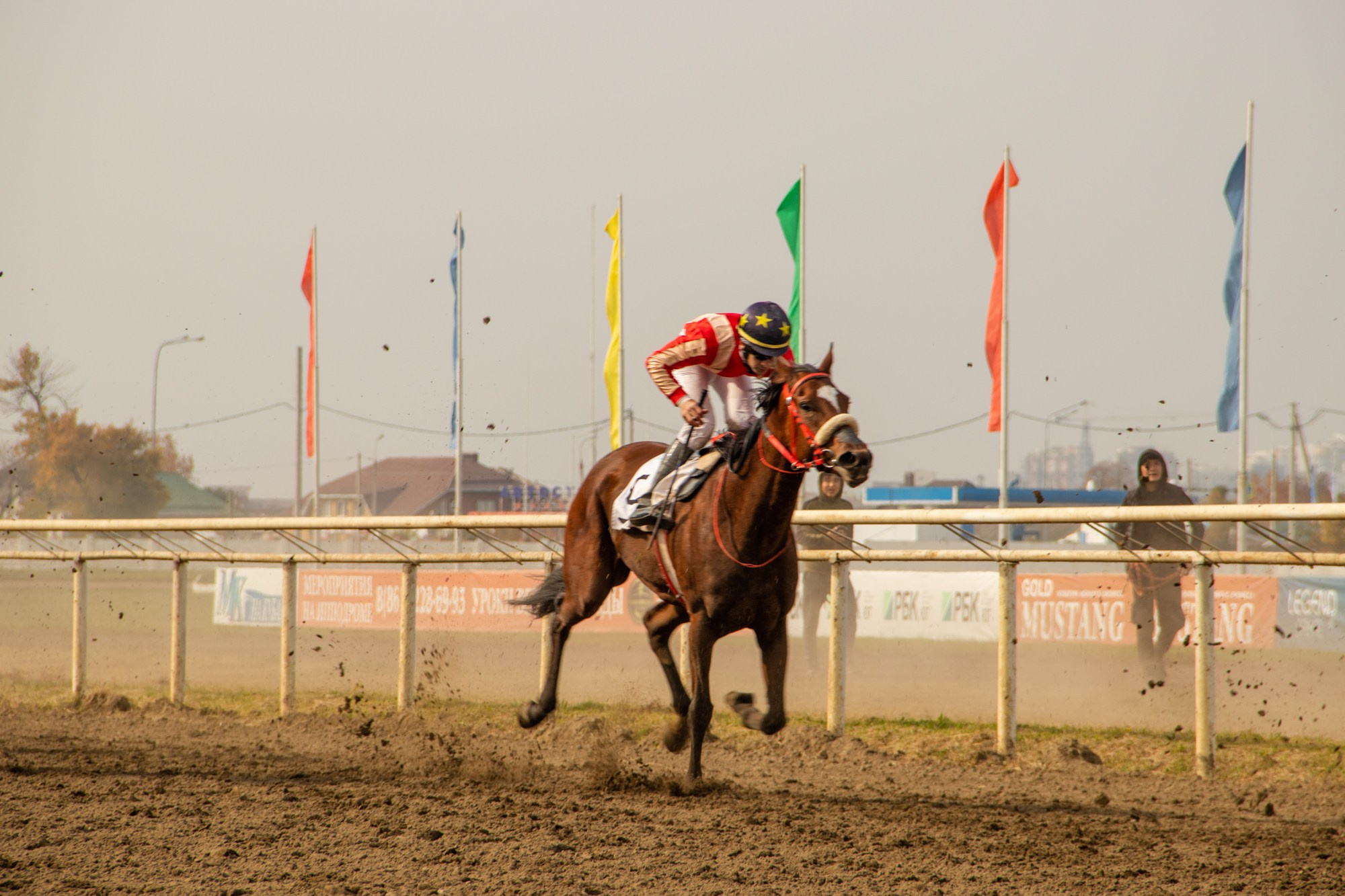 Закрытие скакового сезона на Краснодарском ипподроме. Репортажный, промышленный и маркетплейс-фотограф Дмитрий Чернат