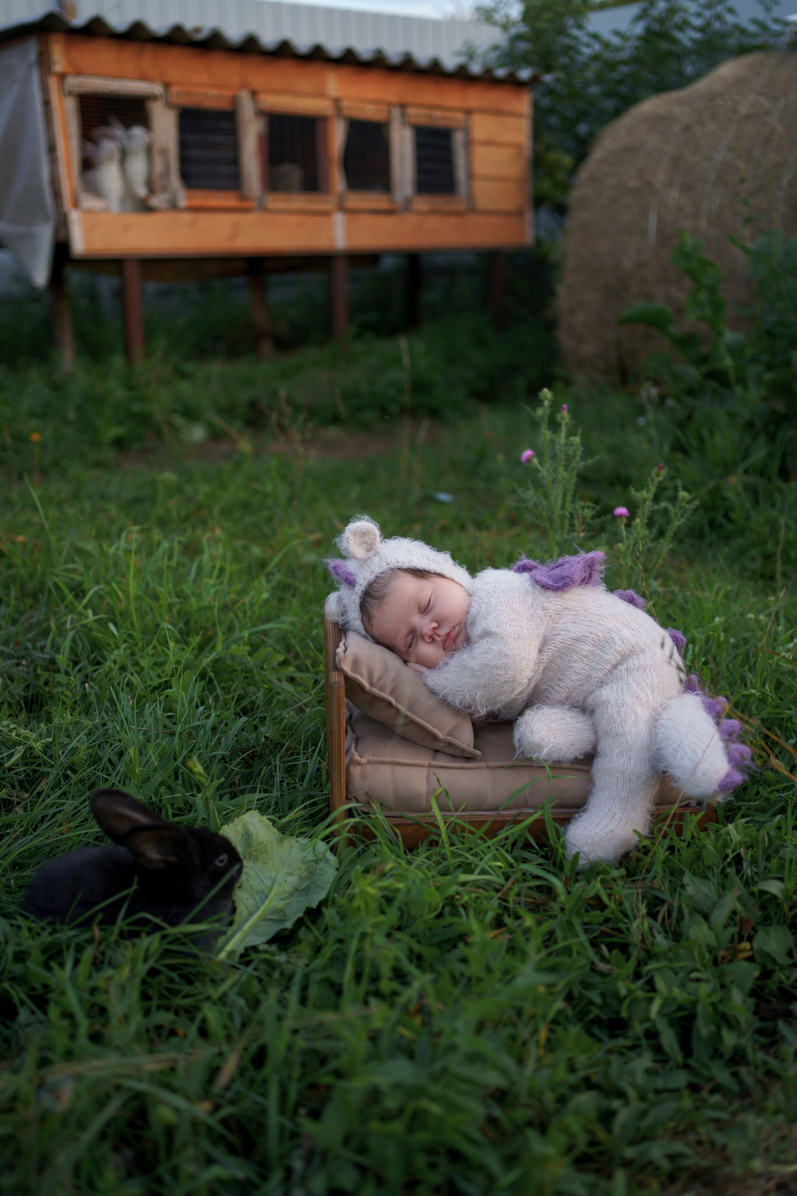 Фотосессия новорожденных. Фотограф новорождённых в Рязани и Сасово Регина Ломова