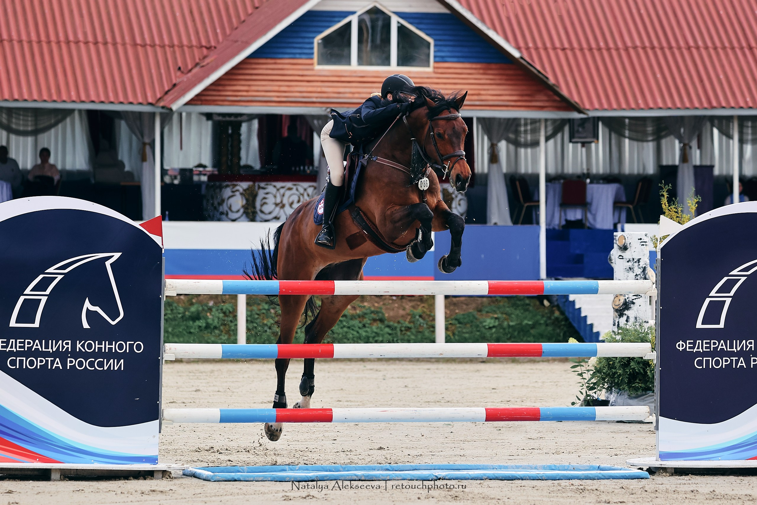 Лично-Командное Первенство России по конкуру, КСК Конаковские конюшни | 08'2023. Репортажный фотограф и ретушер в Москве Наталья Алексеева