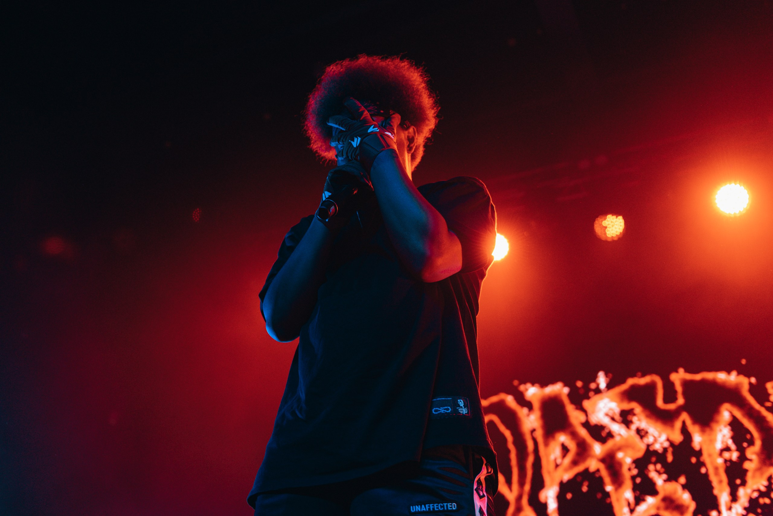 Концертное портфолио. Портфолио