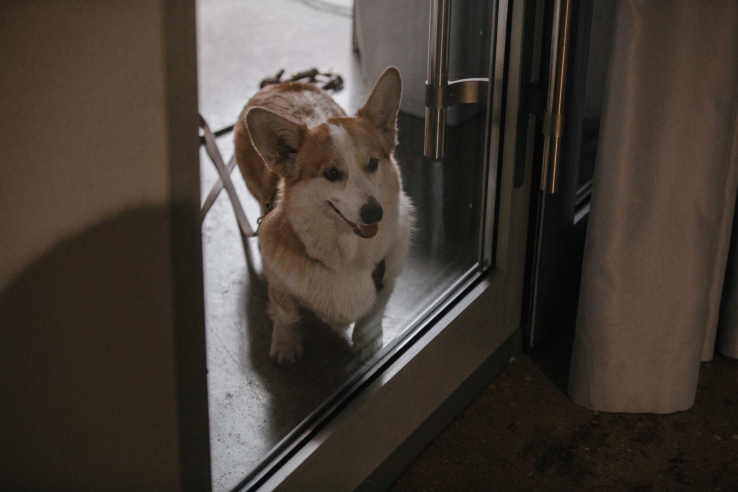 17.10.2021 // Дог-френдли день в Артплей. Фотовыставки serebro.gallery, в которых автором можешь стать ты! | Москва