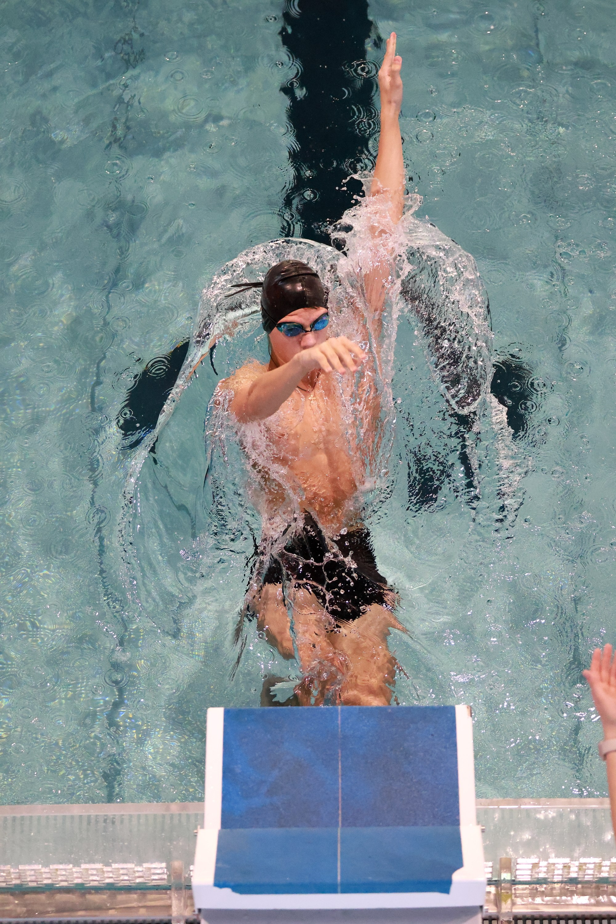 Плавание. Спортивный и репортажный фотограф Ермакова Светлана