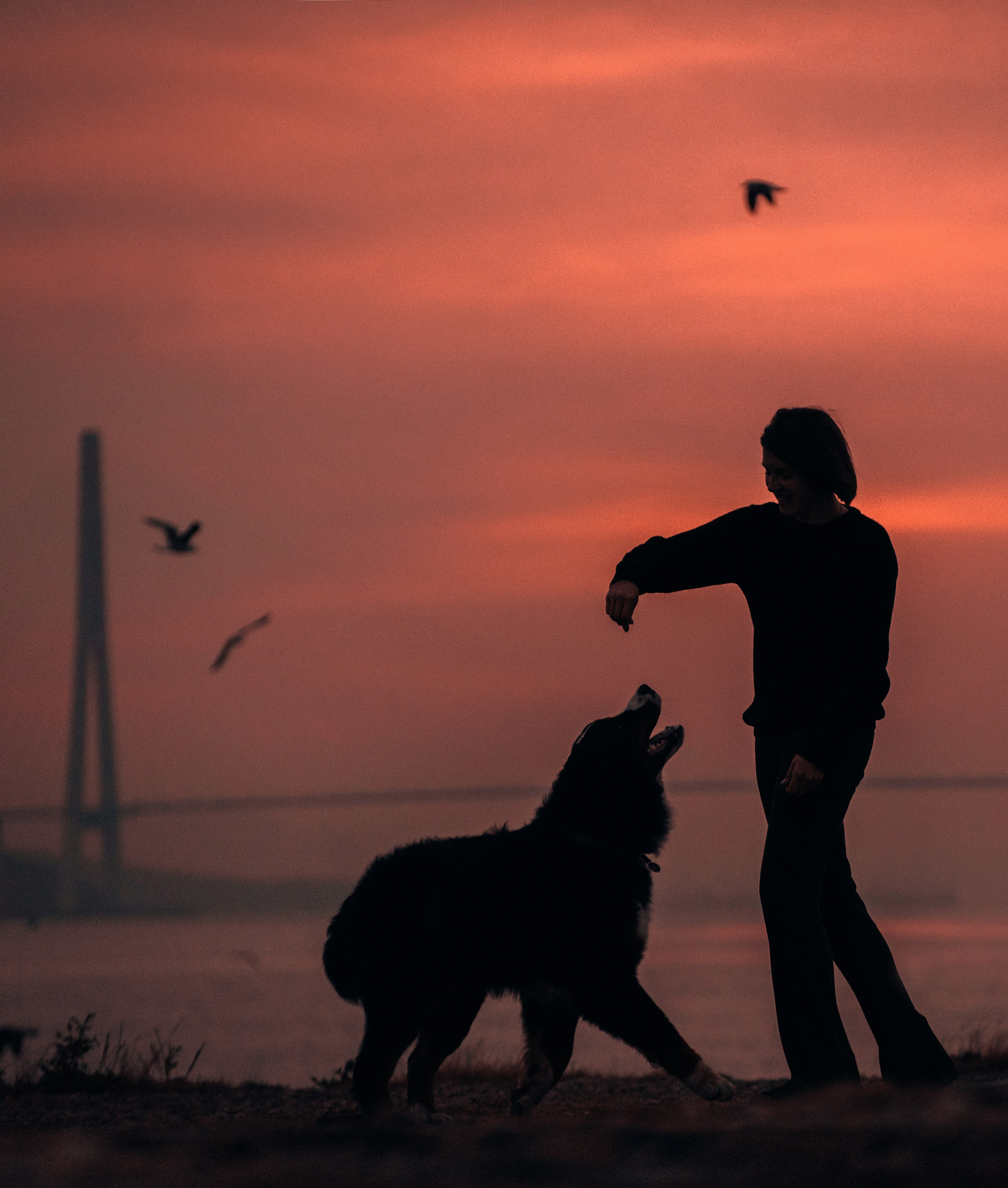 Владивосток: Марс и Маша. Портфолио