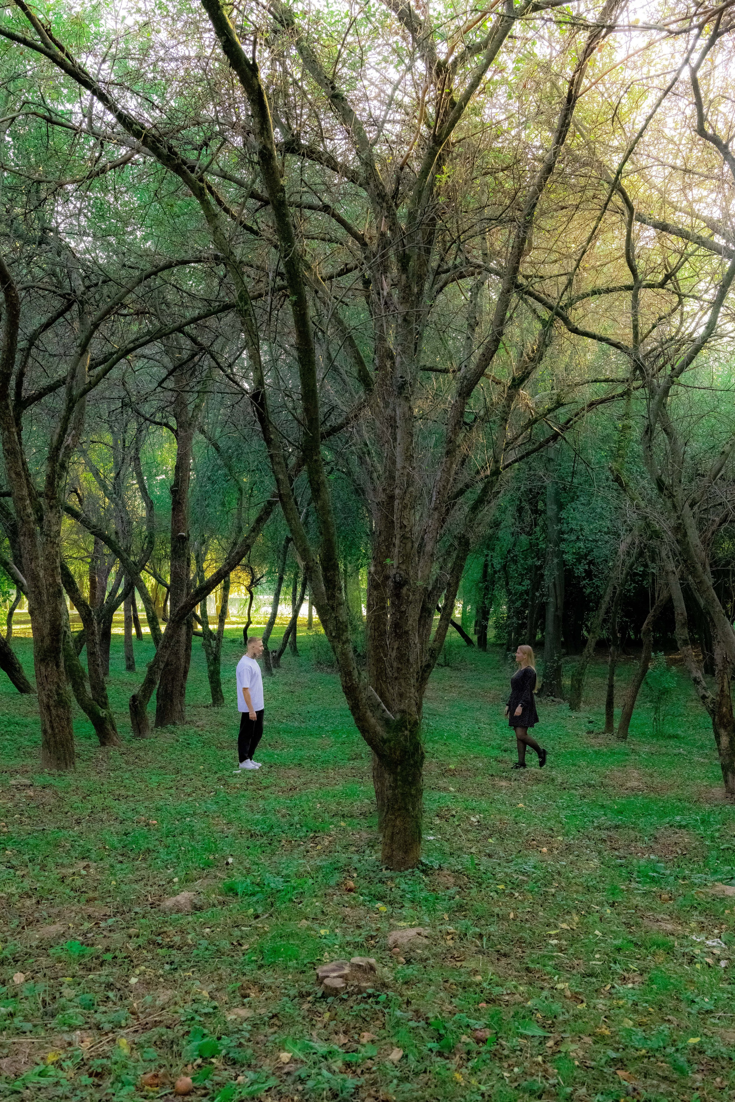 Ваши совместные истории. Violinn.Photo