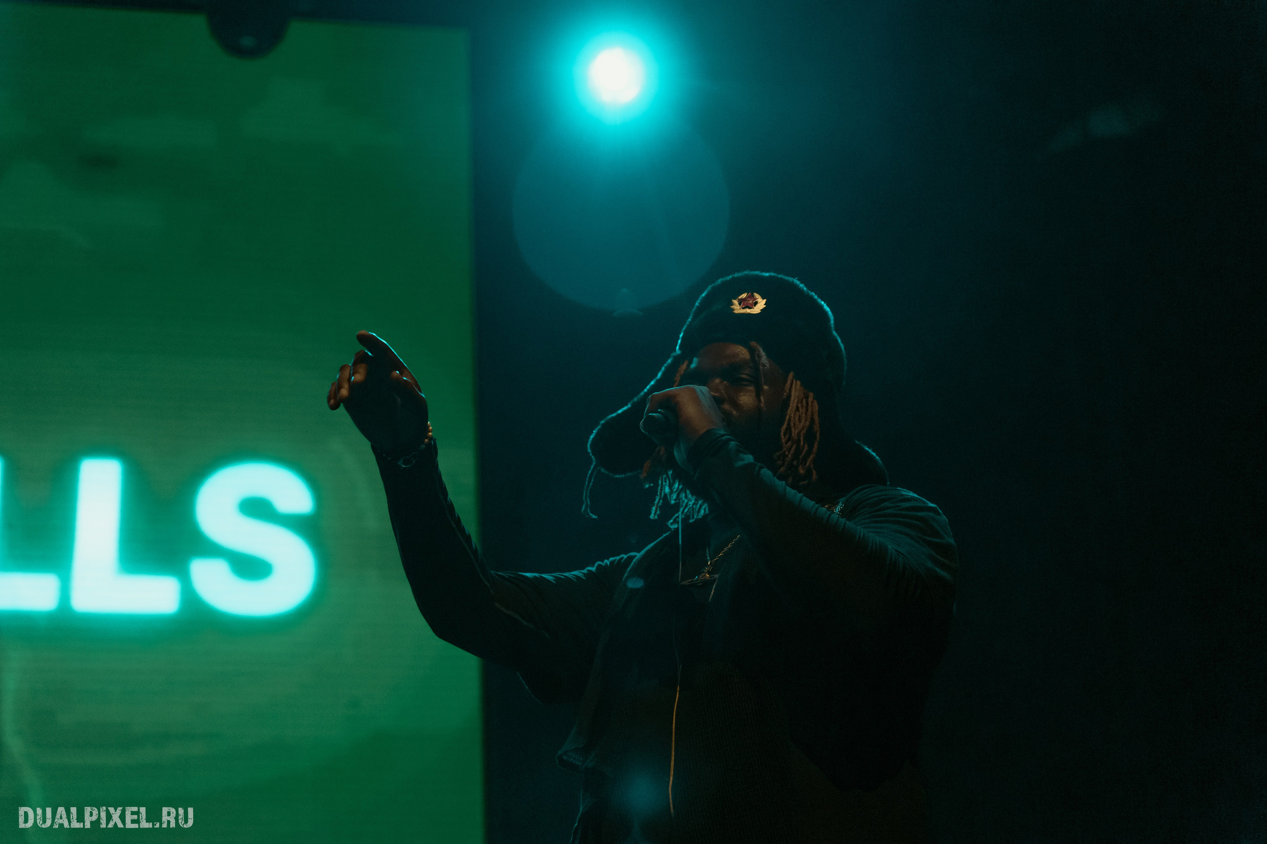 Prince Of Falls. Магия музыки в кадре: Концертная Фотография