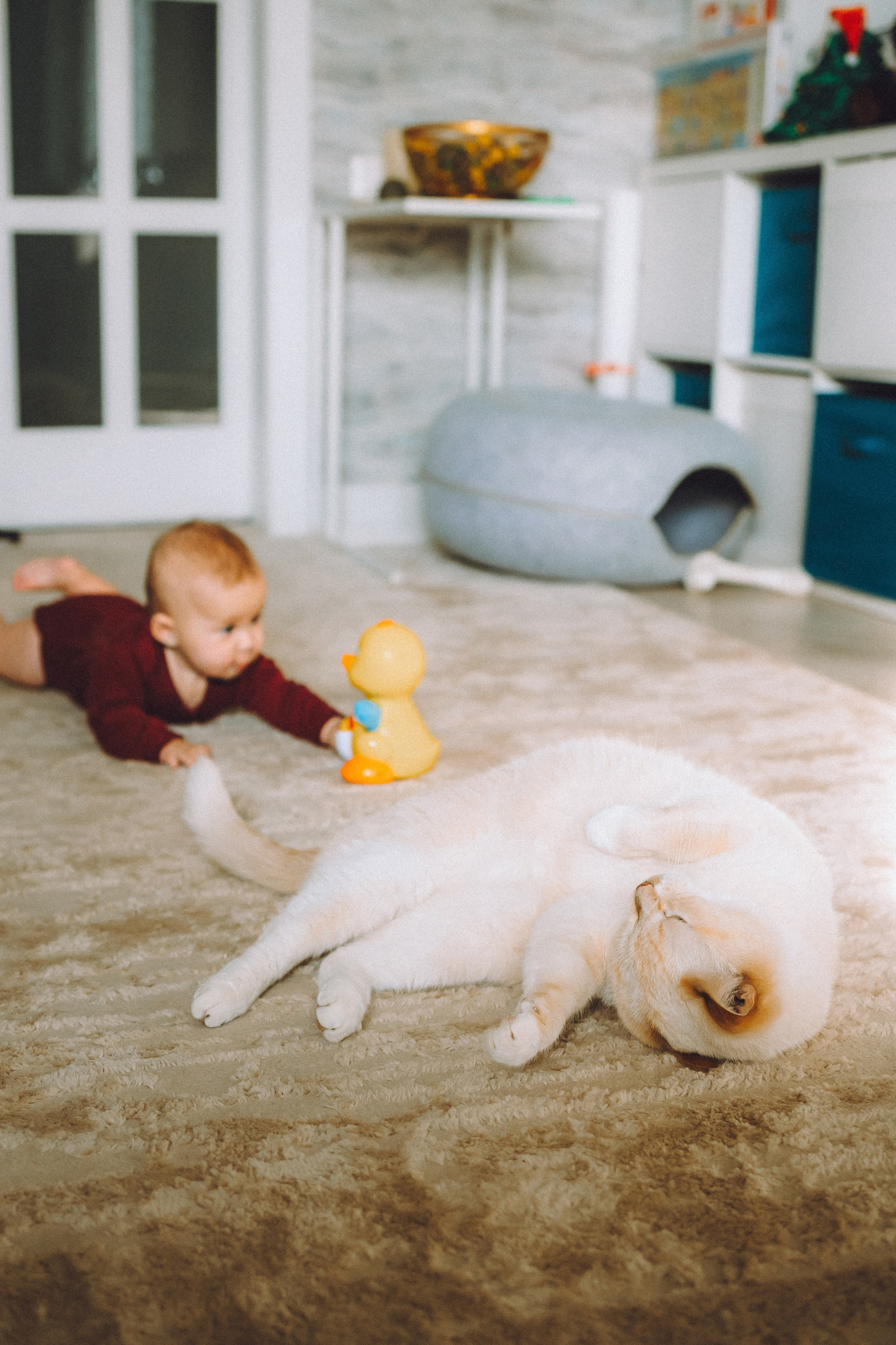 Топик и его семья