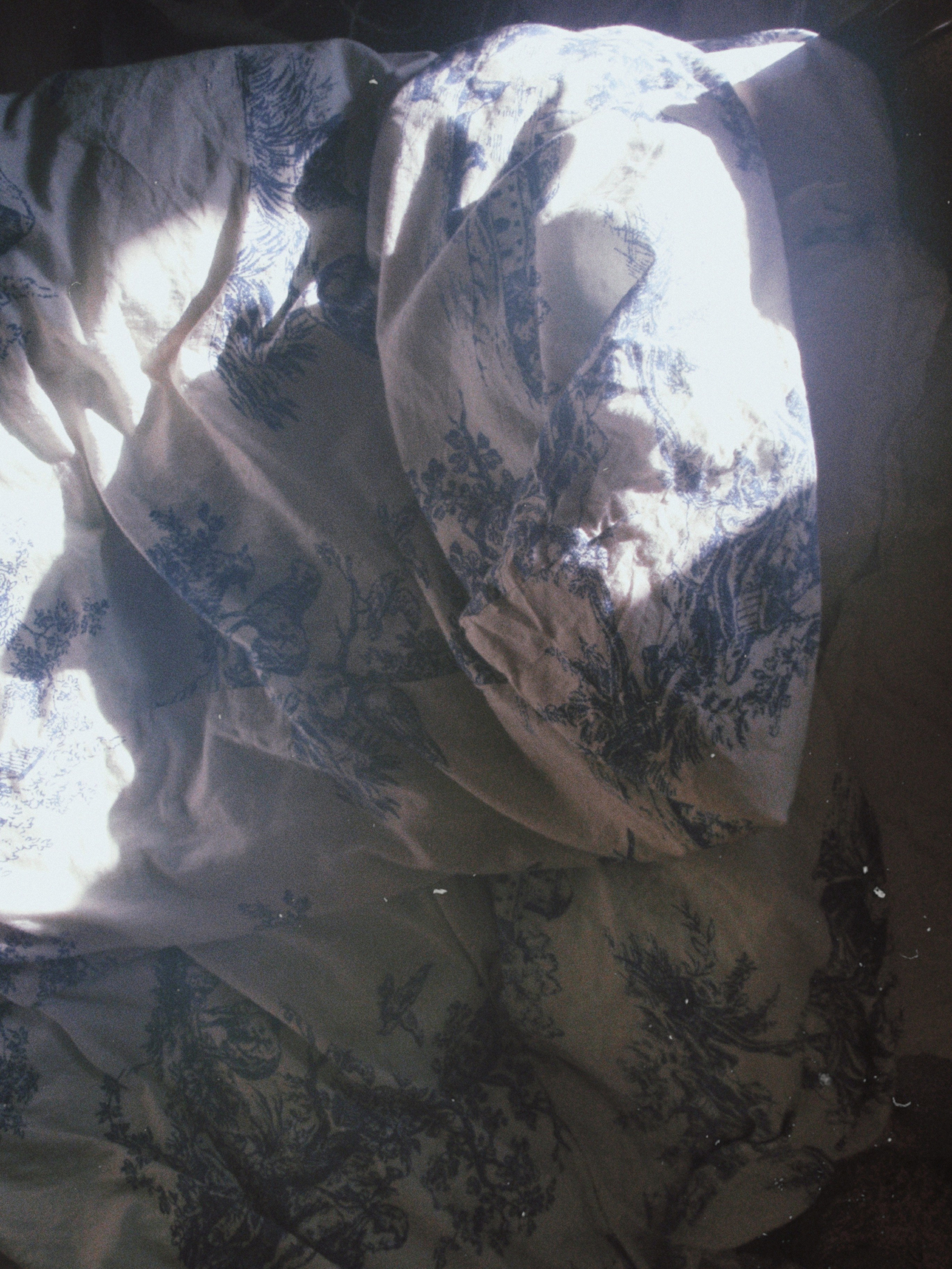 Olimpus mju 1030sw. Анна Мильч