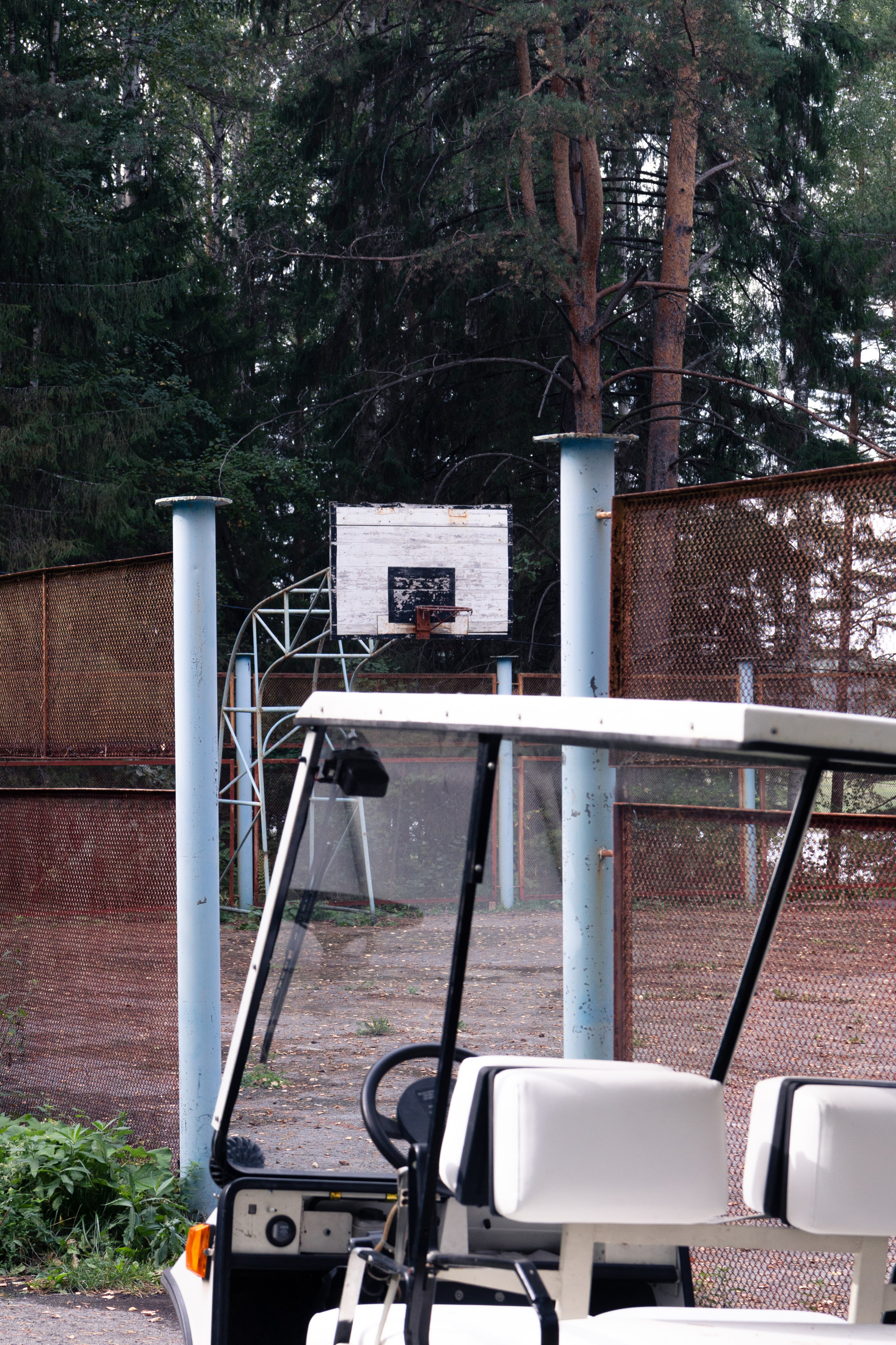 Фотосъёмка животных. Предметный и репортажный фотограф Алексей Кротов