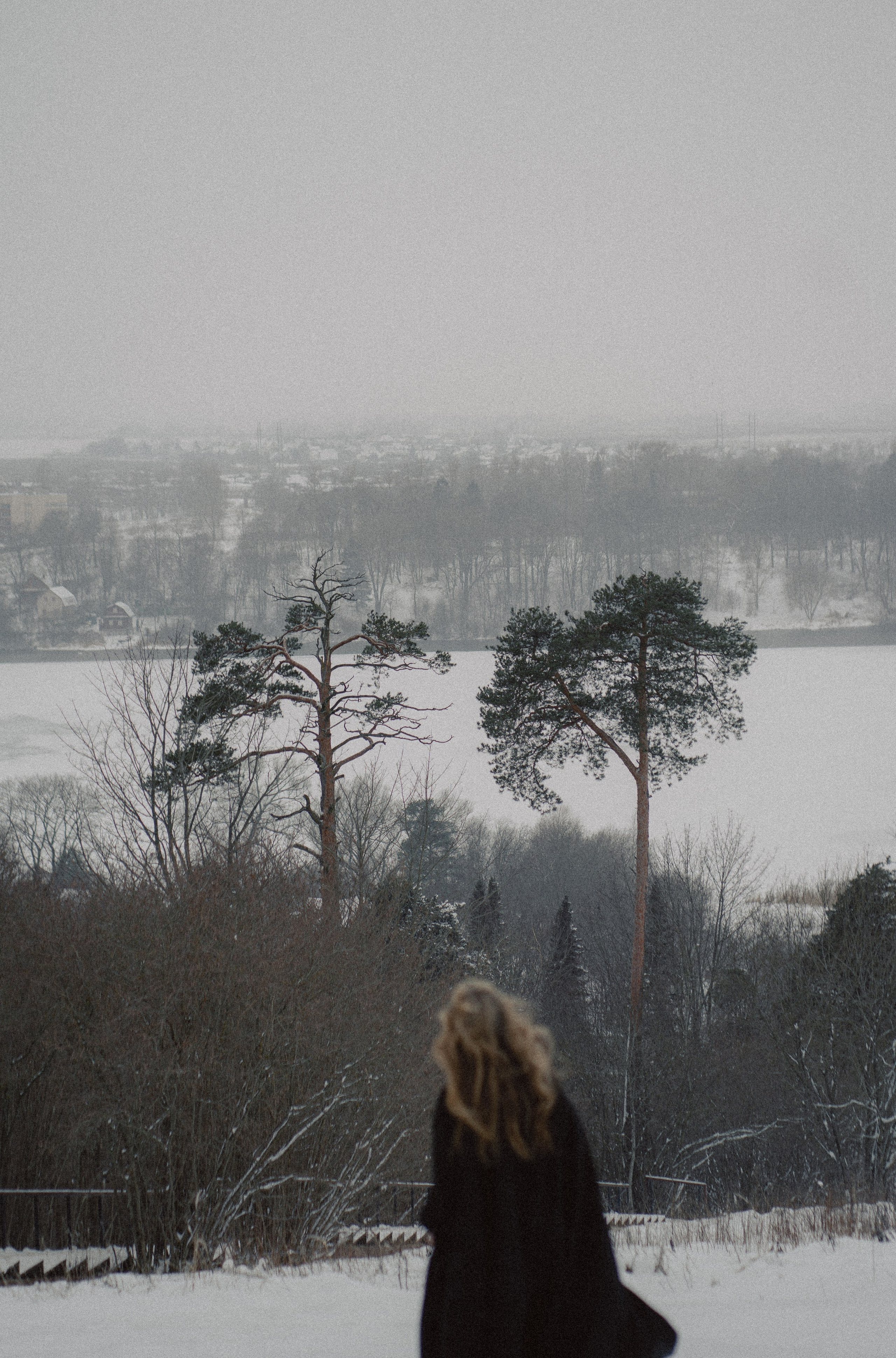 Elena Raya • Photographer