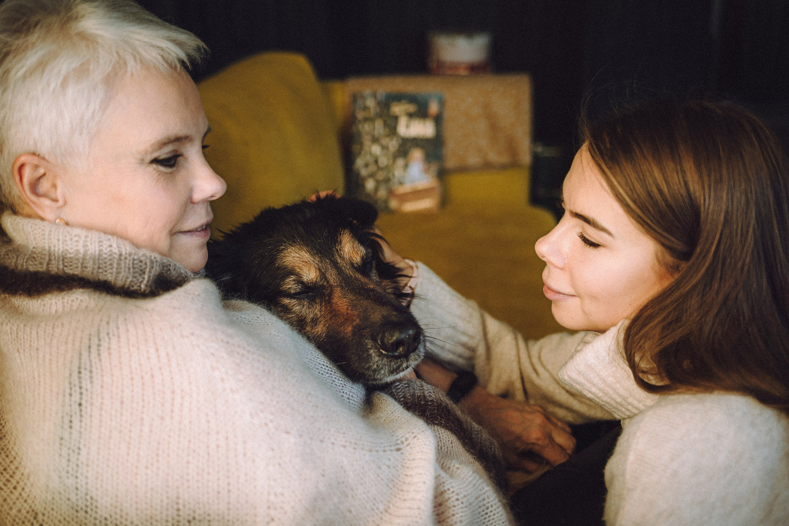 Плюш, Айса и их семья