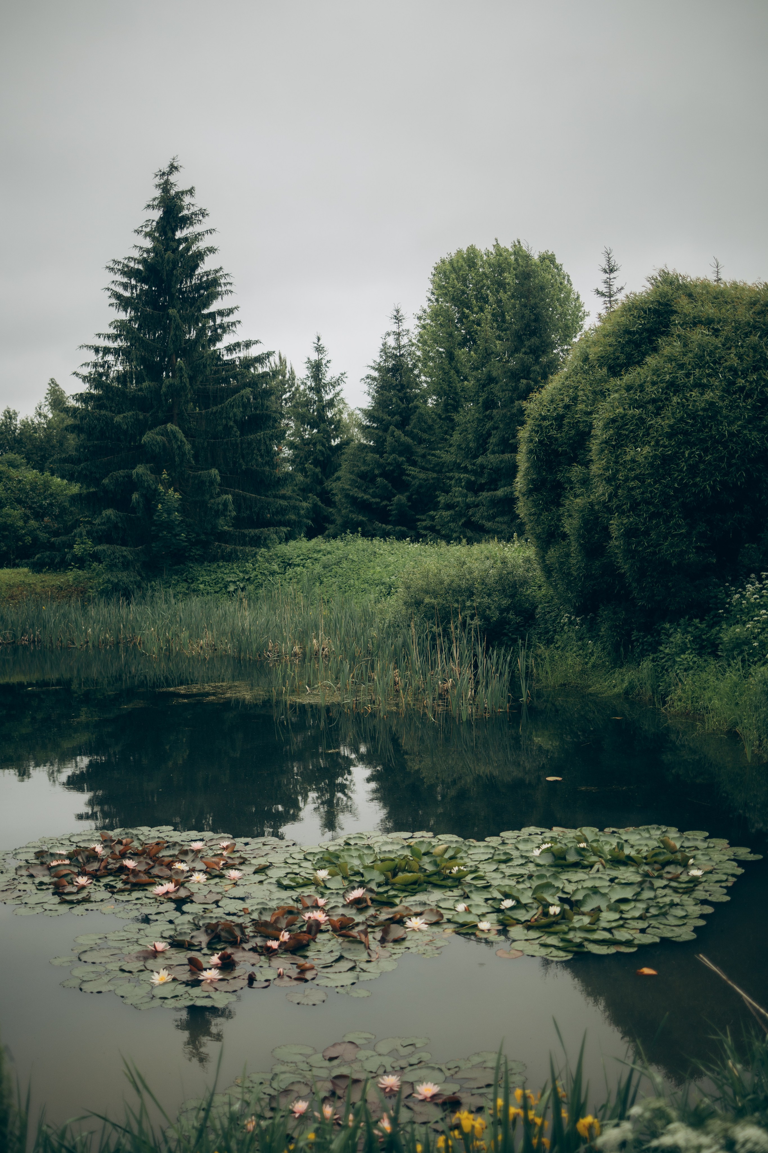 Istra. Женский фотограф Истра