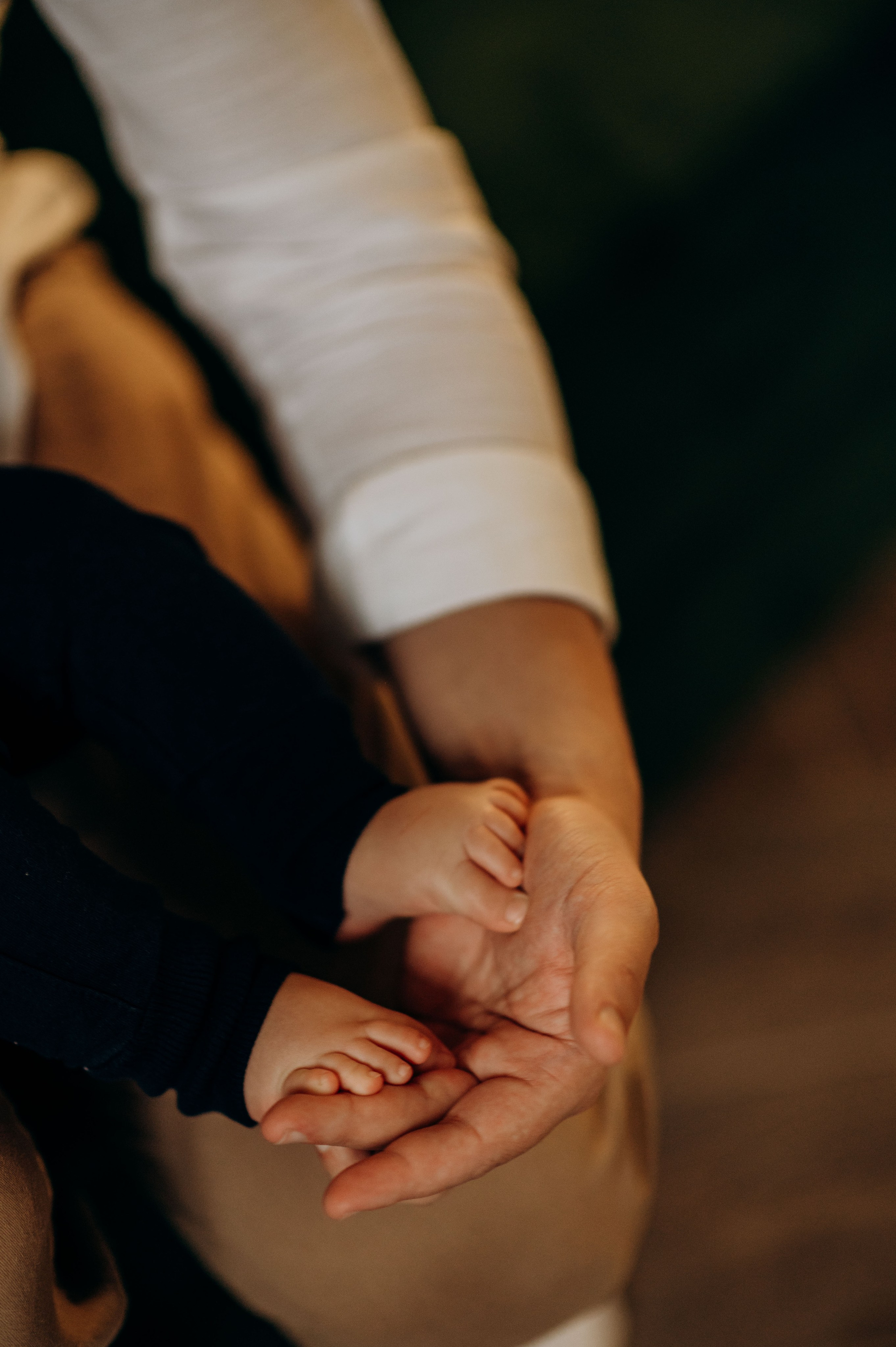 Домашняя история. Семейный фотограф в Домодедово и Москве Елена Пичугина