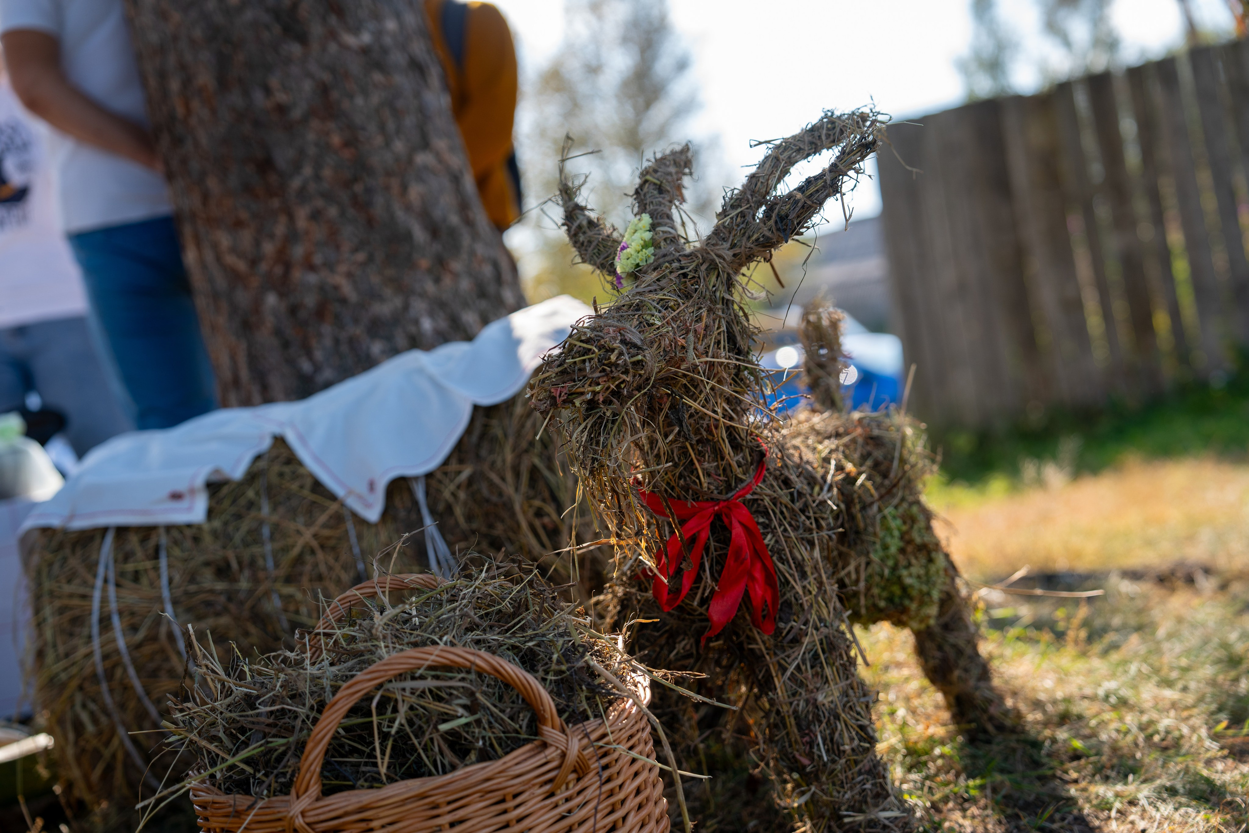 Ярмарка. Фотограф Наталья Сорока Ижевск