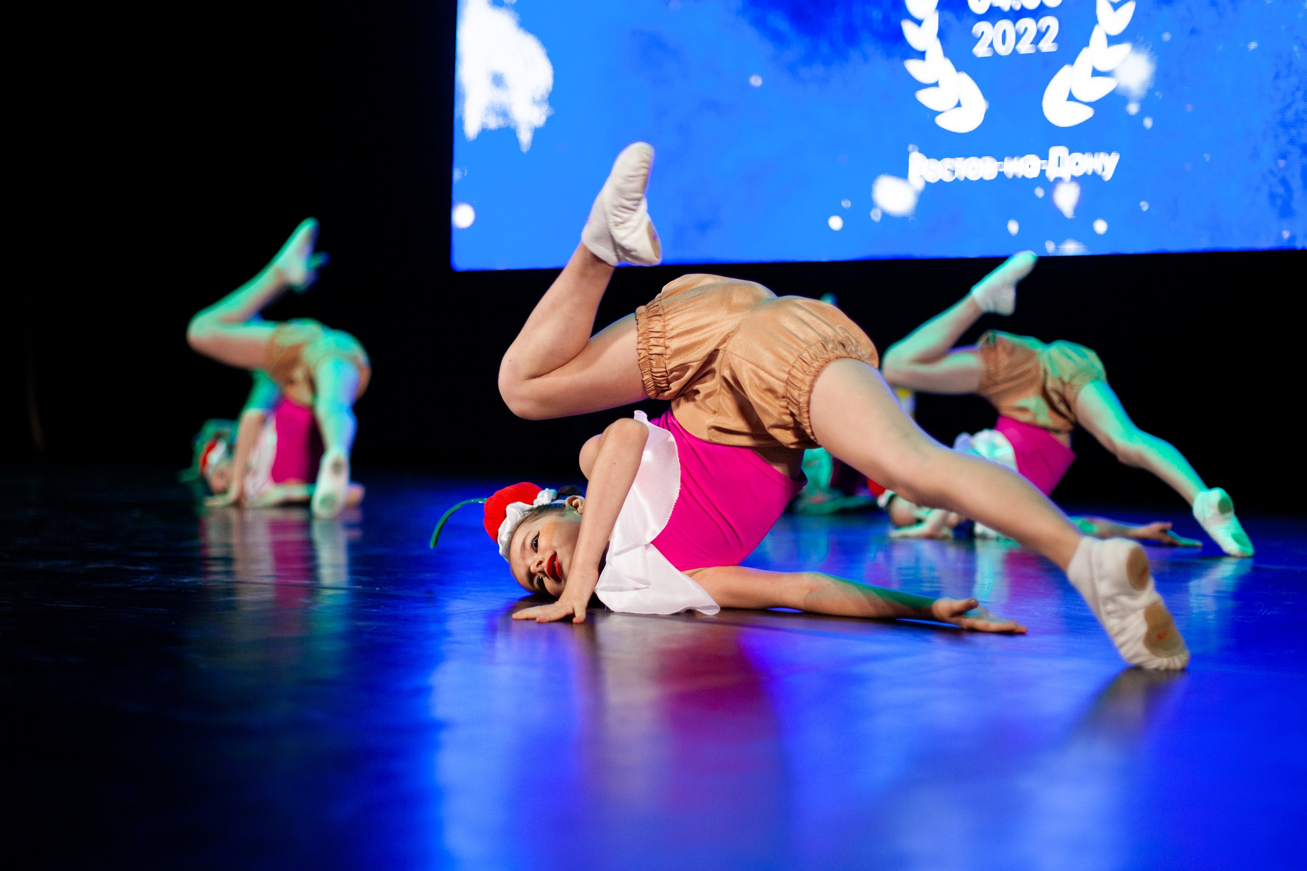 Концерты. Виолетта Скрипка