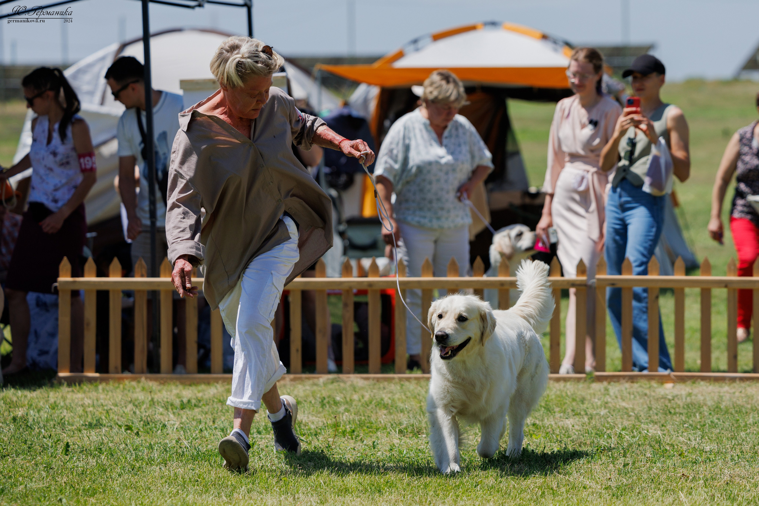 Ереван 3-5.06.2024. Фотограф-анималист Юлия Германика