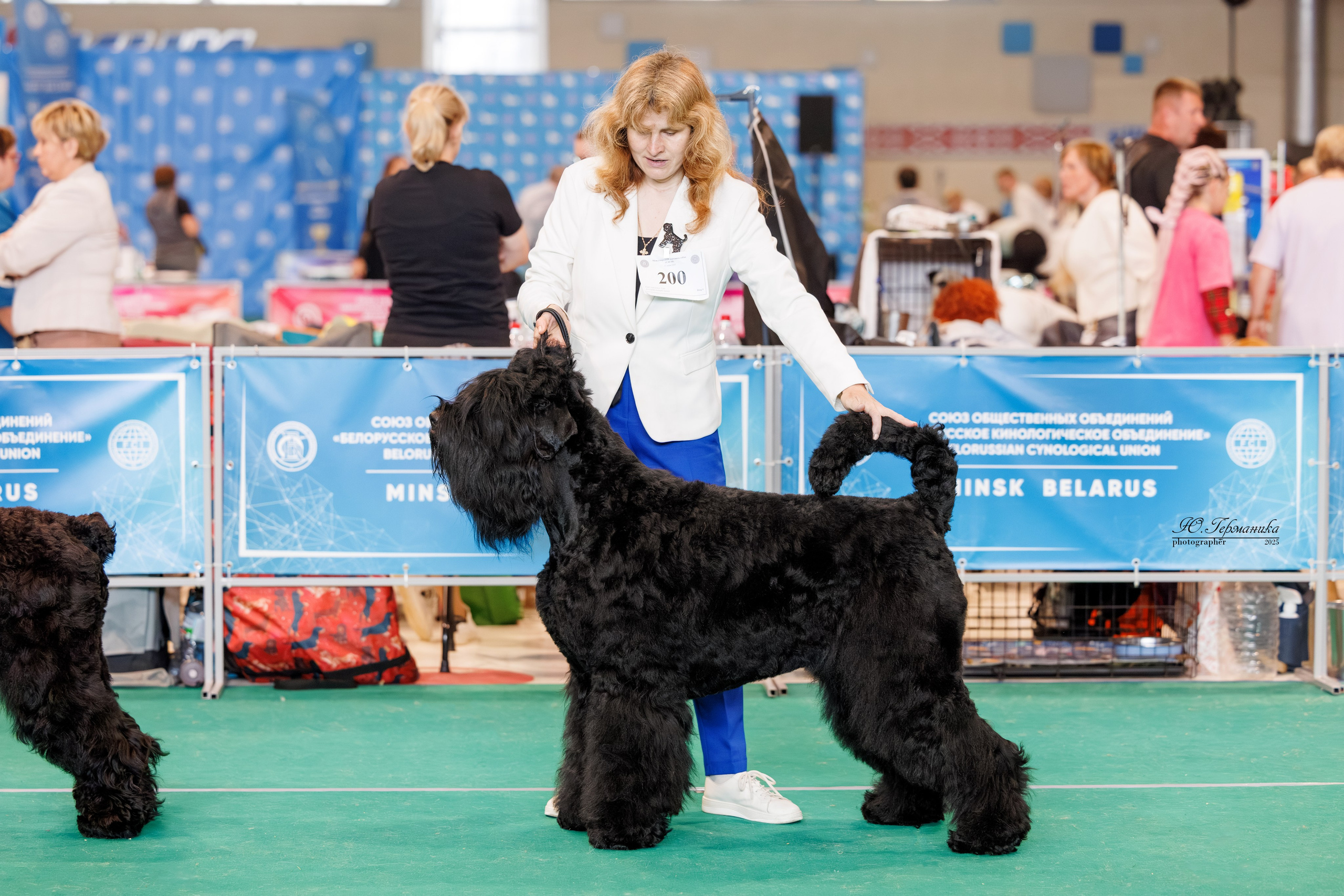 Минск 31.05-1.06.2025. Фотограф-анималист Юлия Германика