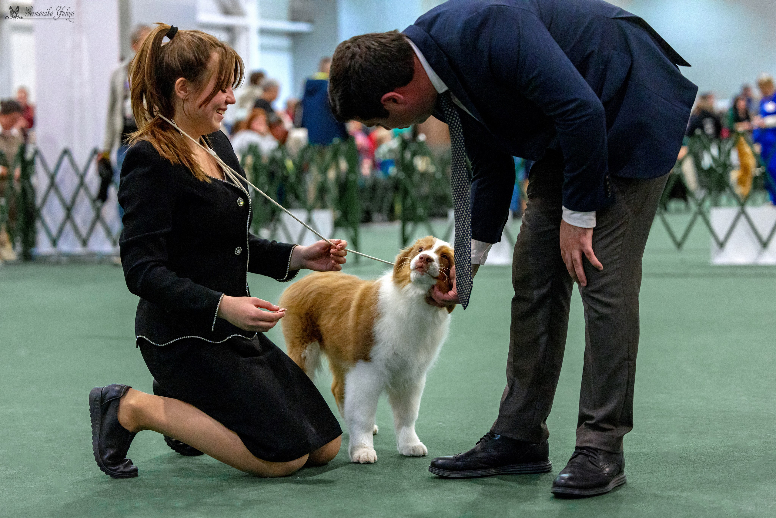 Сфера 29.10,Крокус 4.11,Сфера 12.11.2023. Фотограф-анималист Юлия Германика