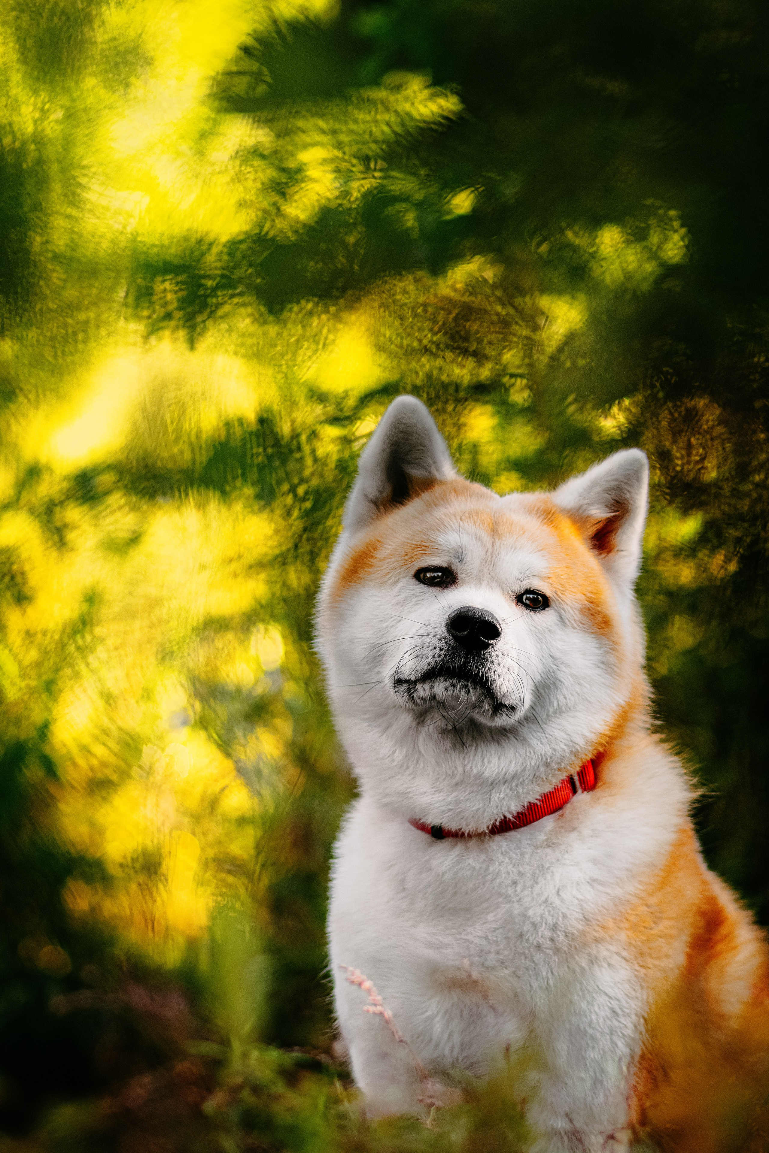 Вальтер. Фотограф в Арсеньеве