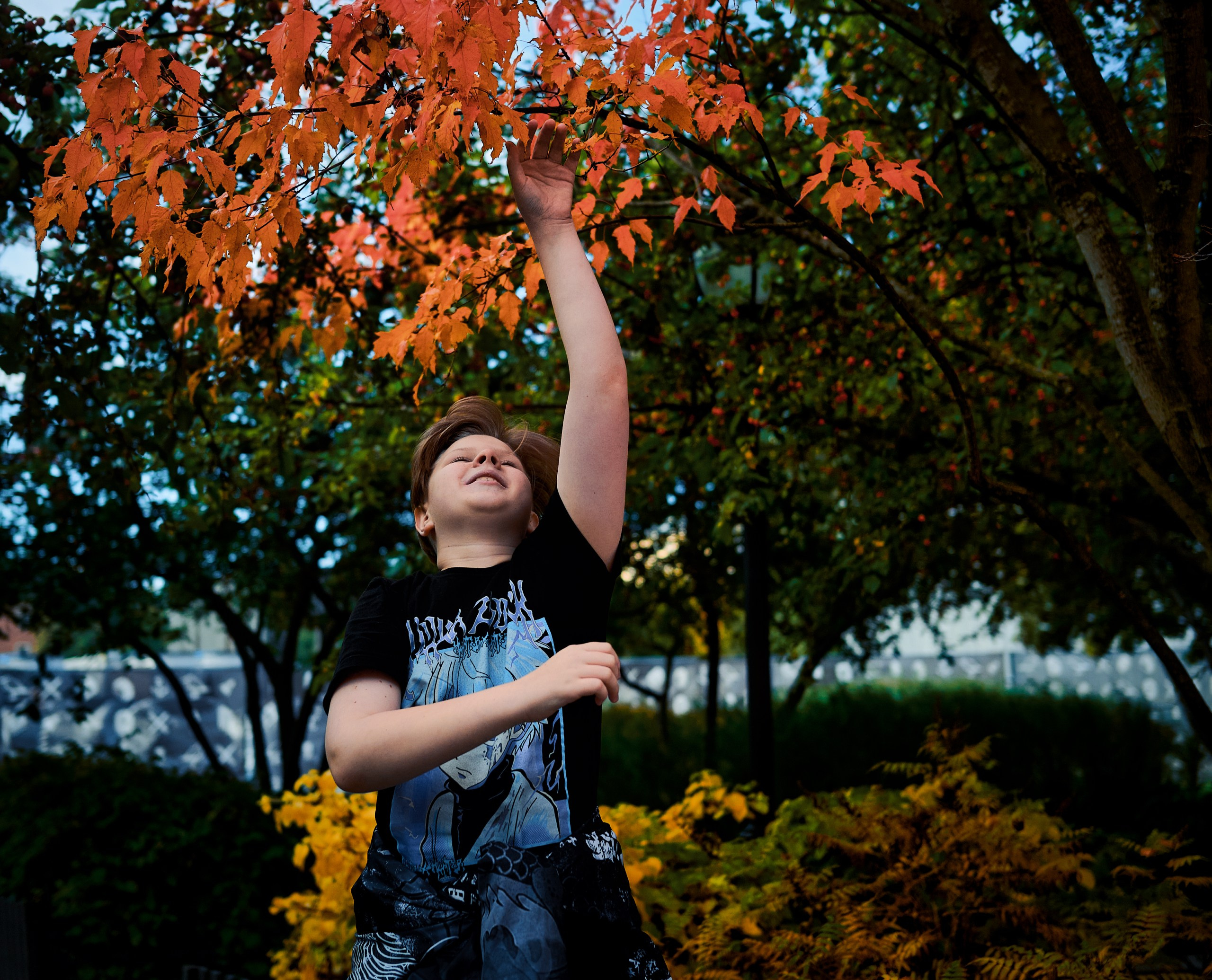 Осень в Новой Голландии. May the numbers guide us