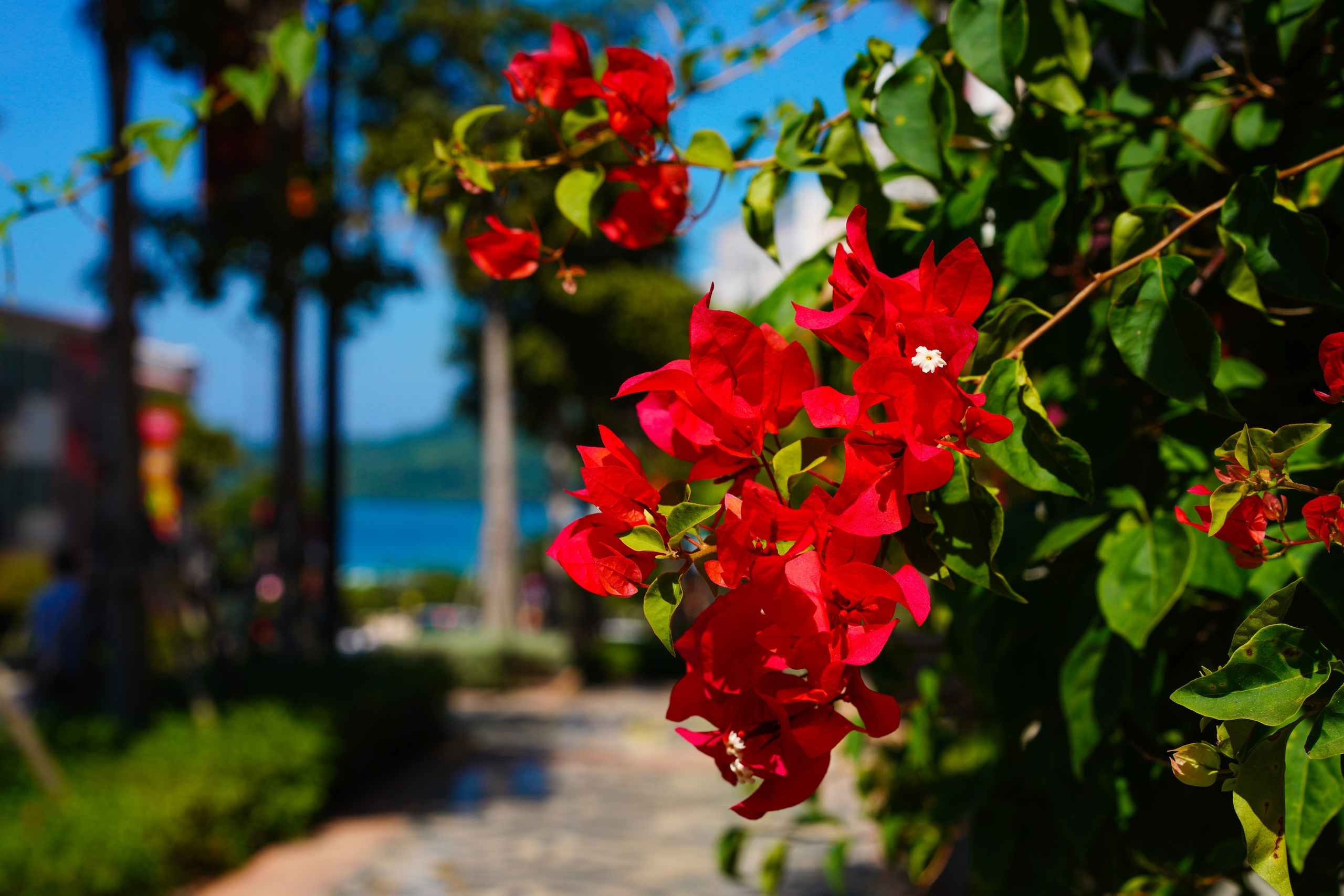Остров Фукуок, Вьетнам. Фотограф Сергей Кишкель Дананг Нячанг Фукуок