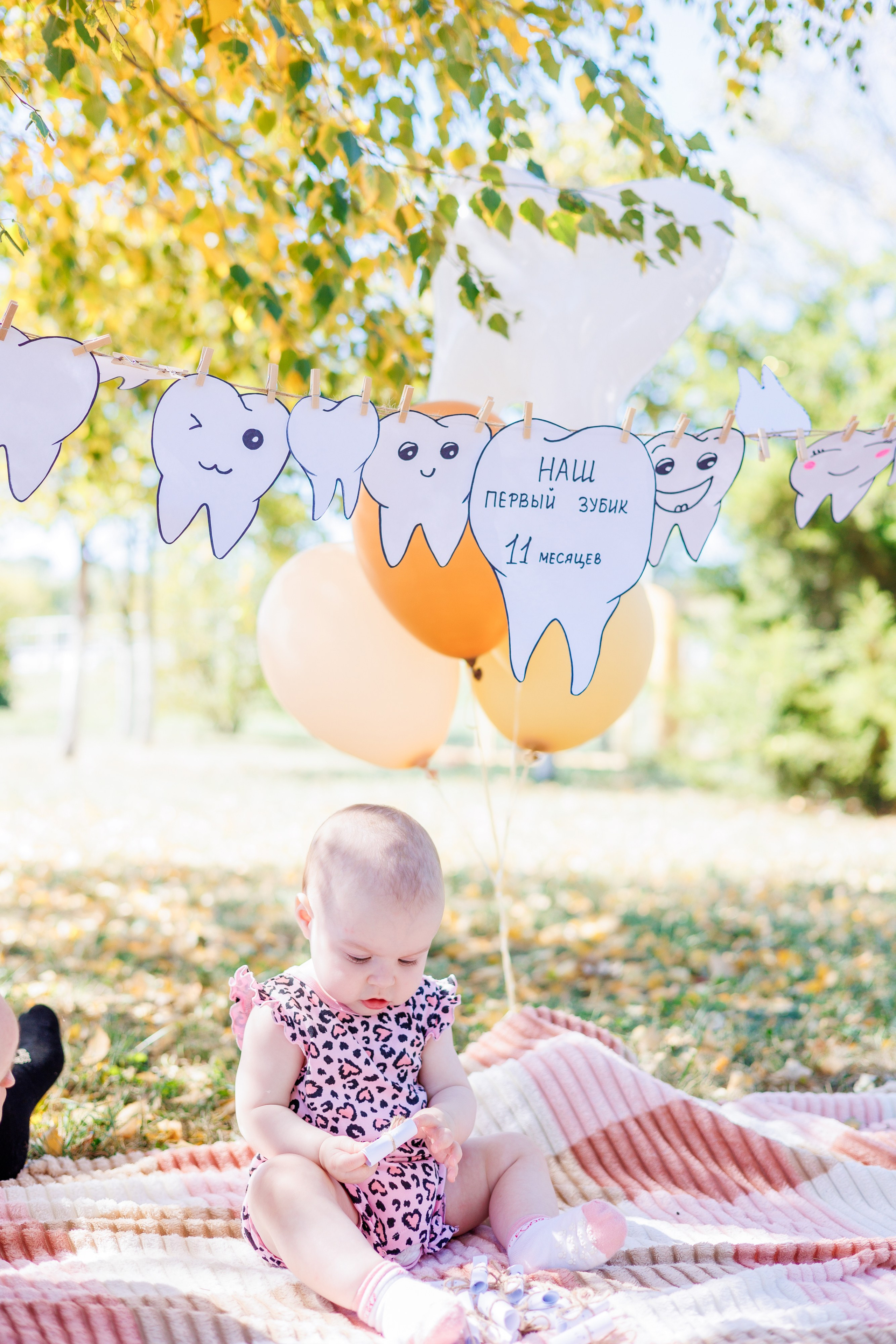 Первый зубик. Свадебный и семейный фотограф в Армавире