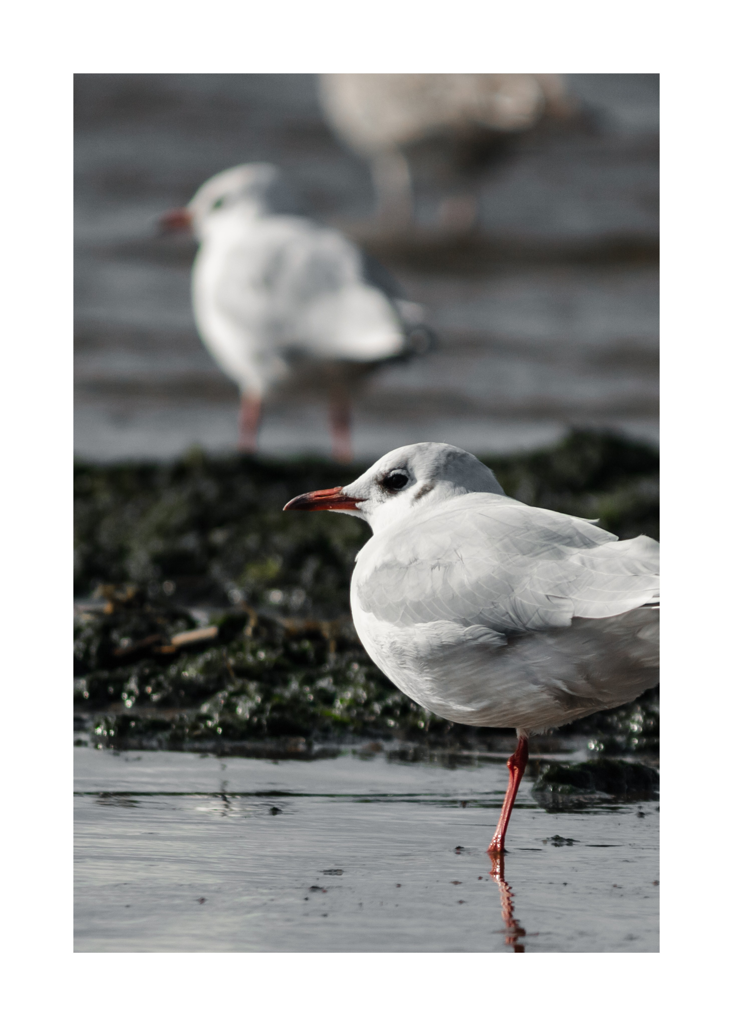 постер постеры море фото на стену фото для печати фото в раму декор из фото