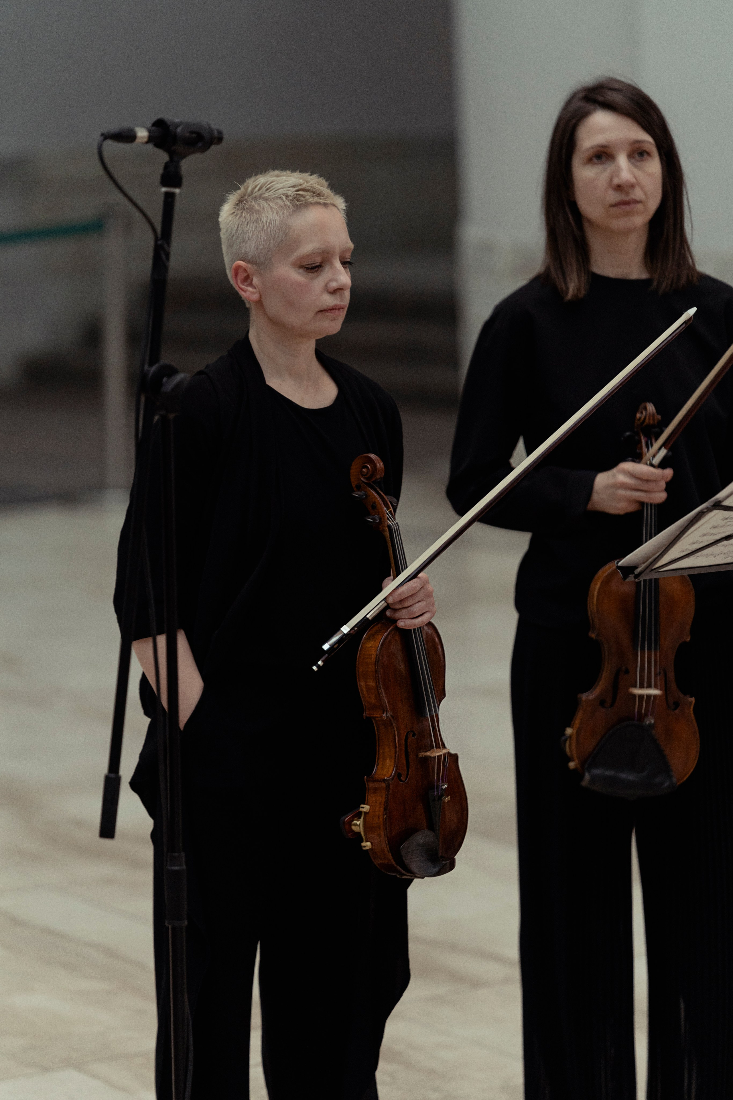 The State Hermitage Museum. Divertissement Chamber Orchestra. Фотограф Ирина Соколенко Санкт-Петербург
