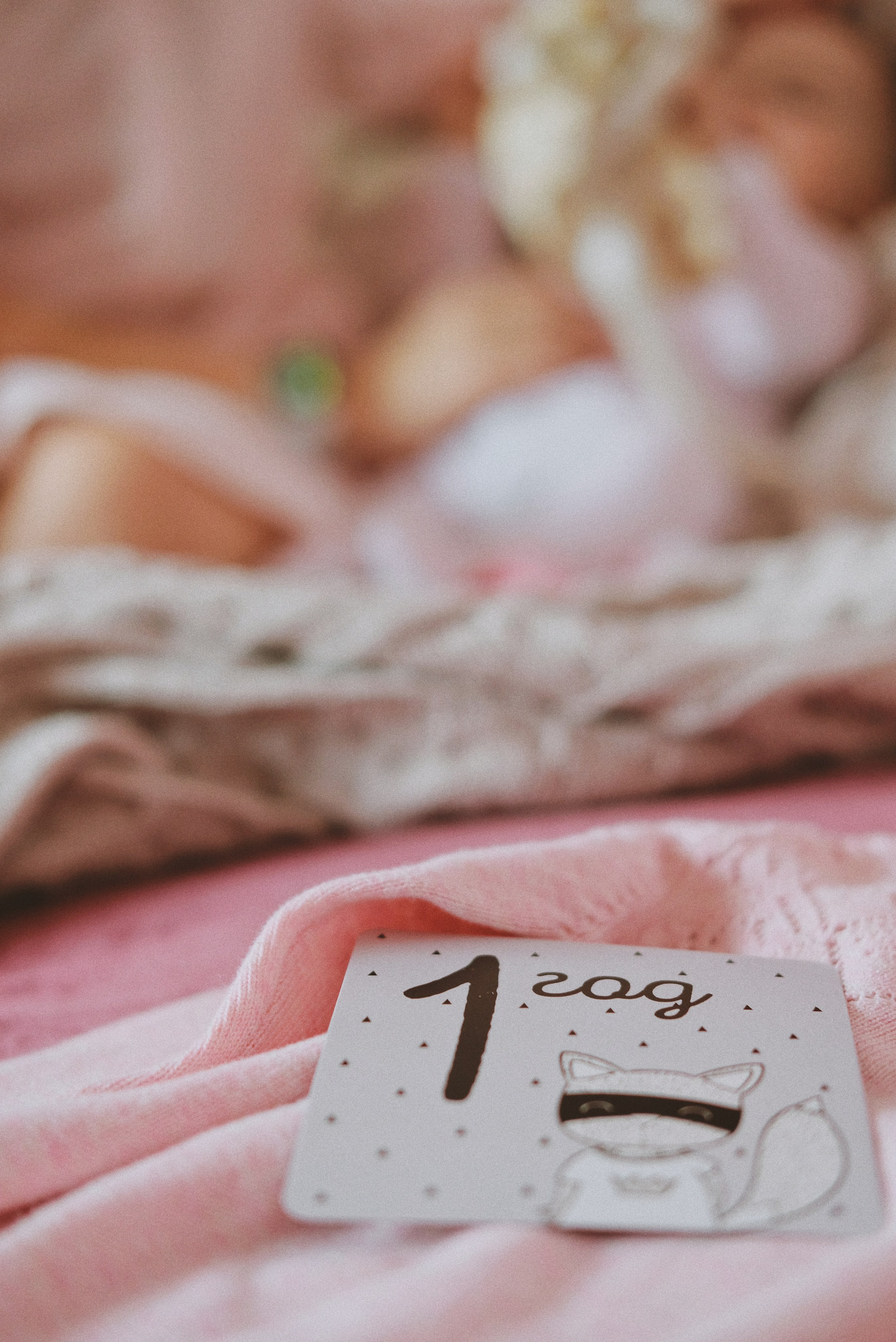 Альбом 5. Фотограф Катерина Мартьянова Санкт-Петербург