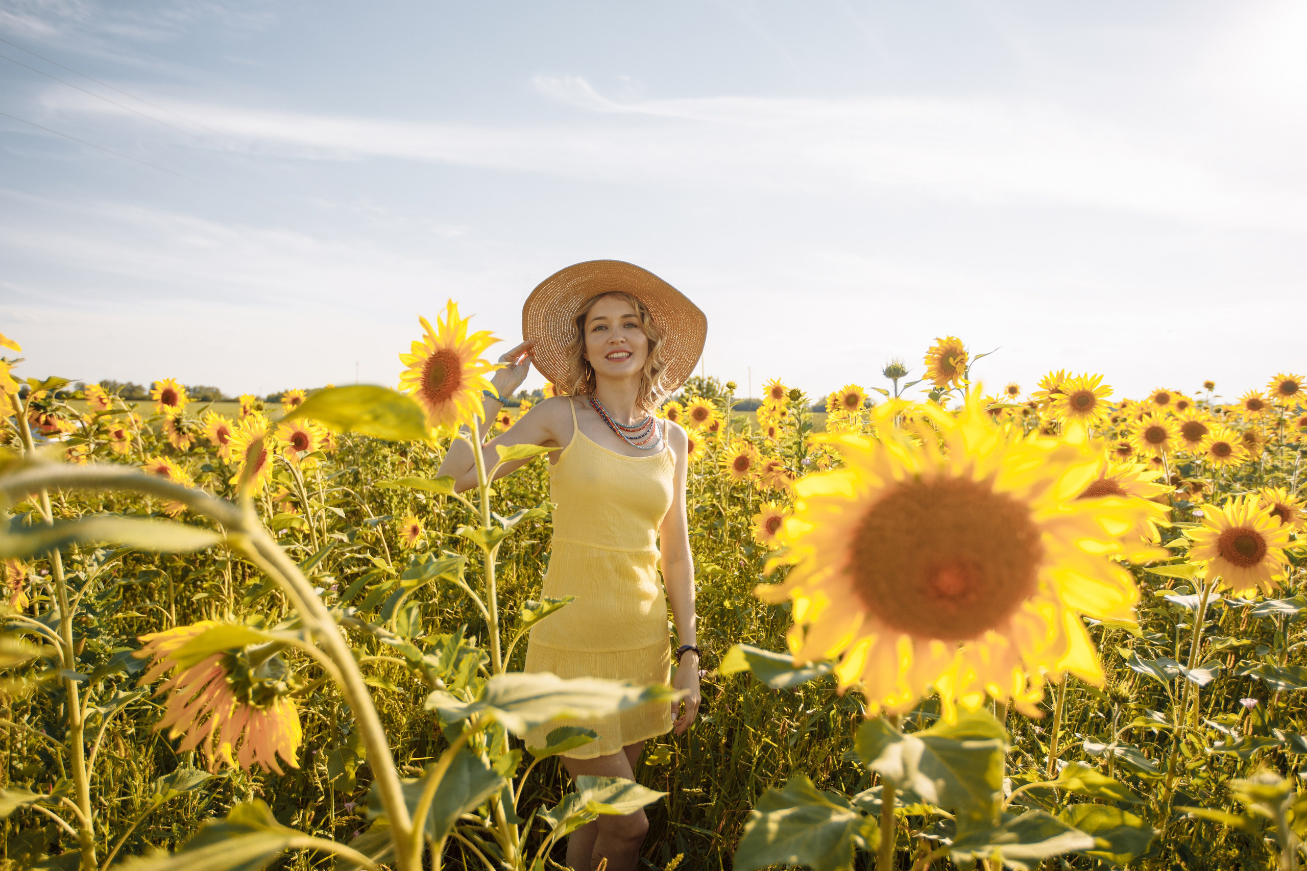 Подсолнухи. Фотограф в Барнауле Ирина Чикалова