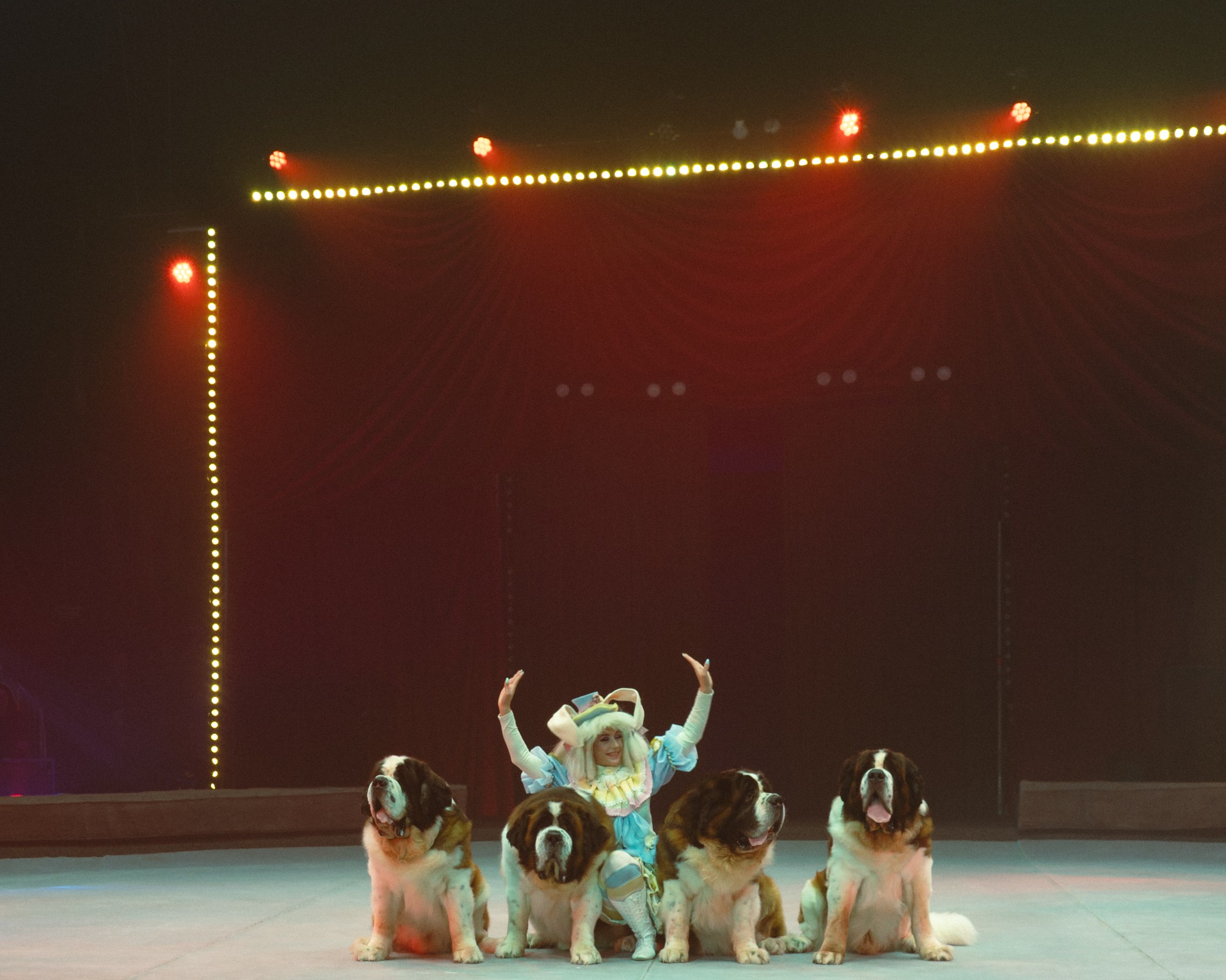 Circus. Фотограф в Москве Шалышко Ангелина