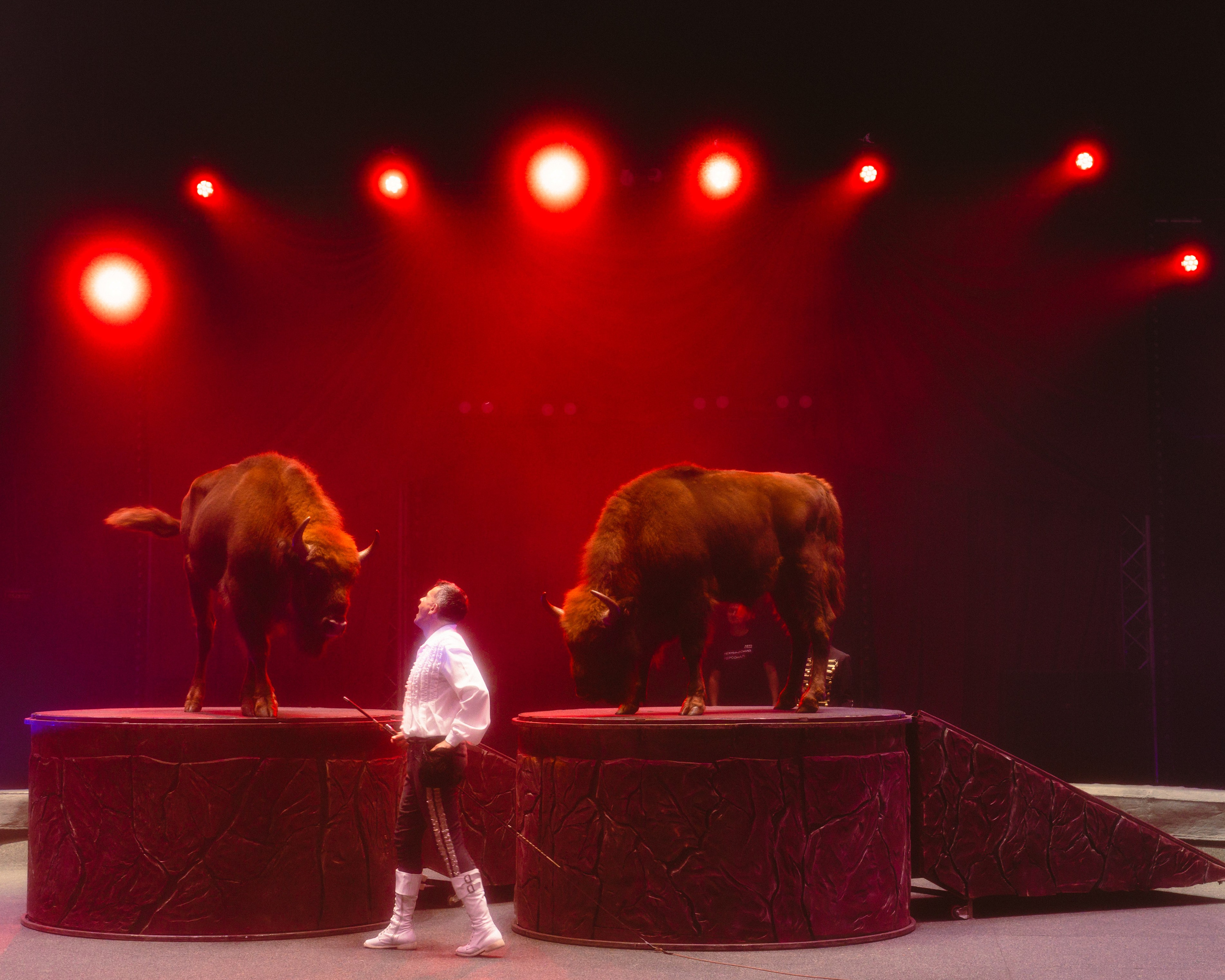 Circus. Фотограф в Москве Шалышко Ангелина