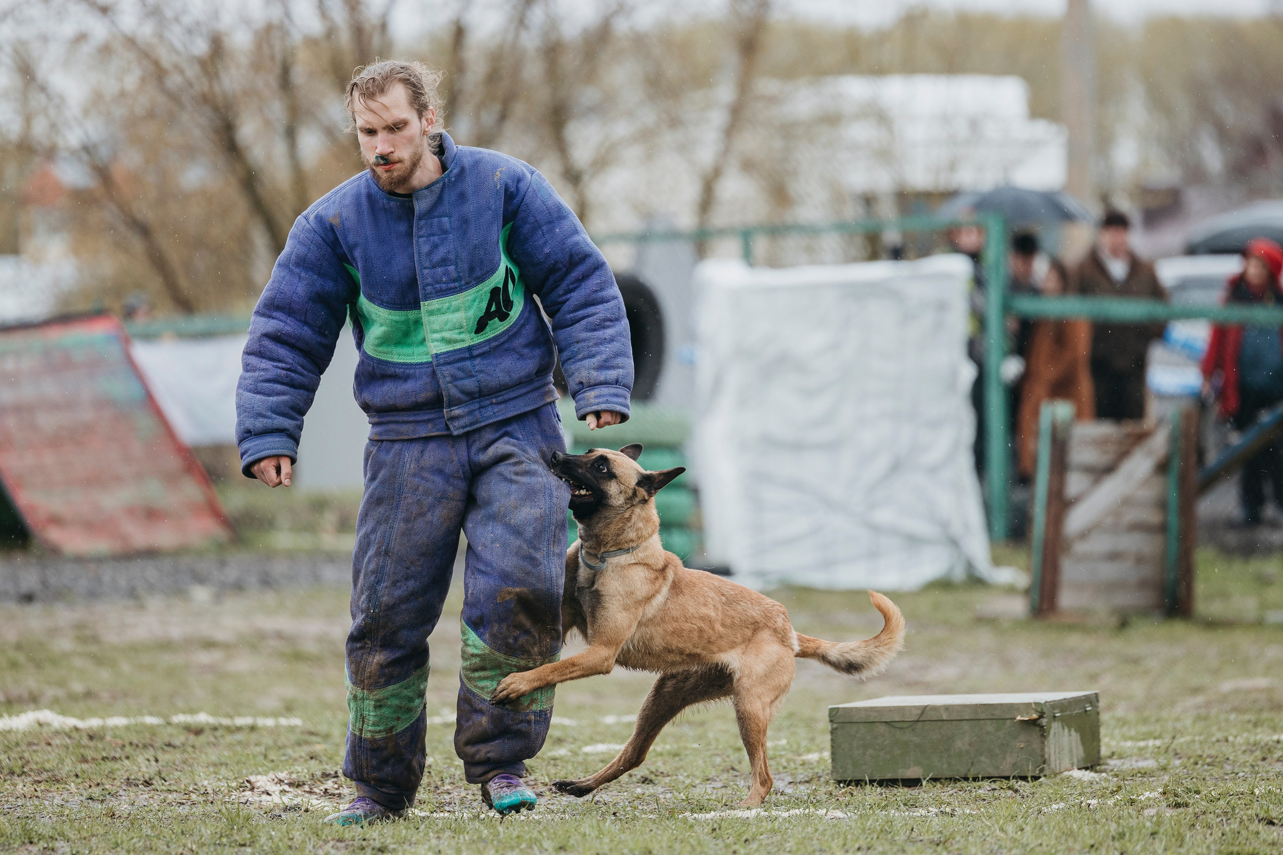 09.05.25 Вологда соревнования. Фотограф-анималист Анна Маринич