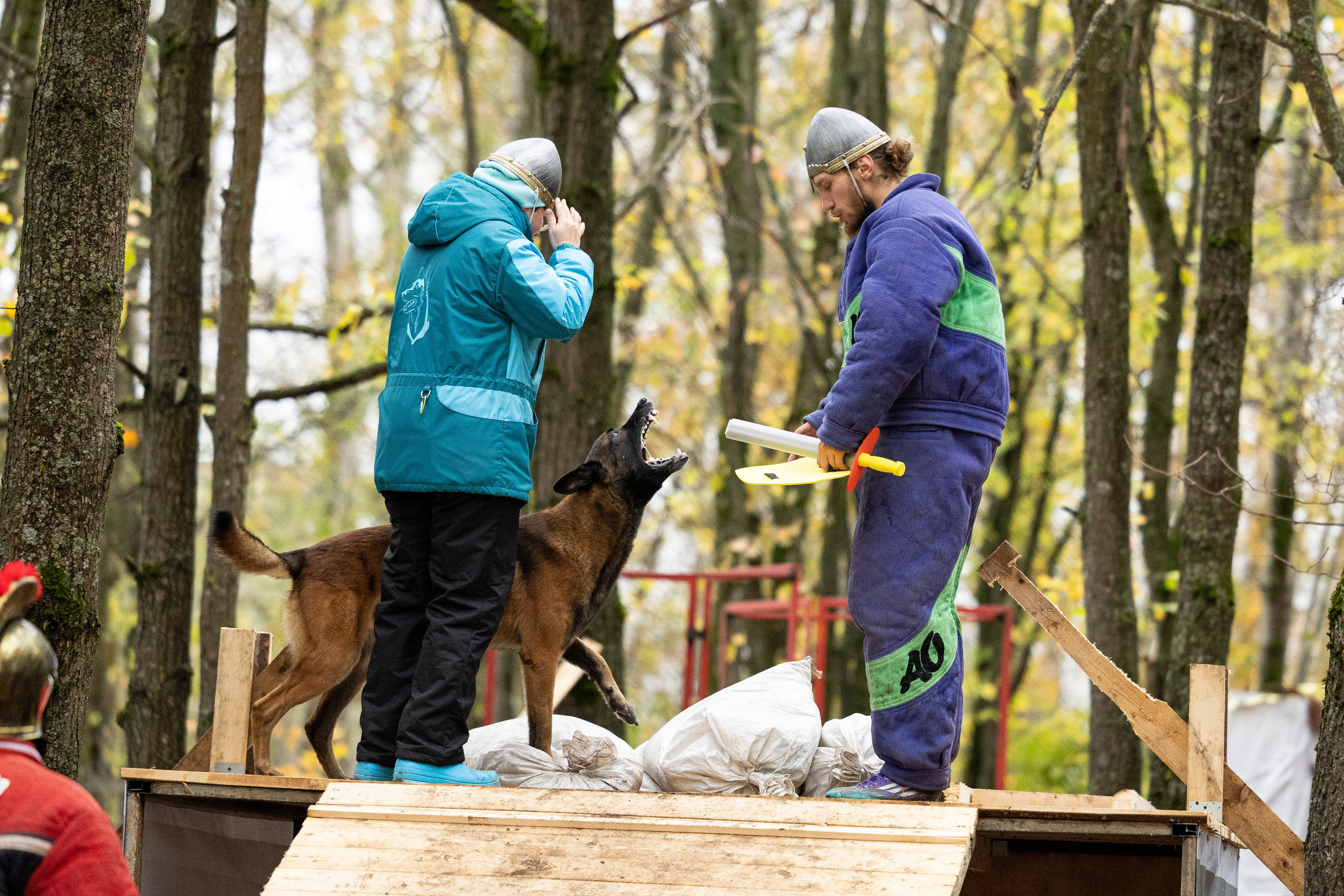 Соревнования по Мондьорингу г. Вологда. Фотограф-анималист Анна Маринич
