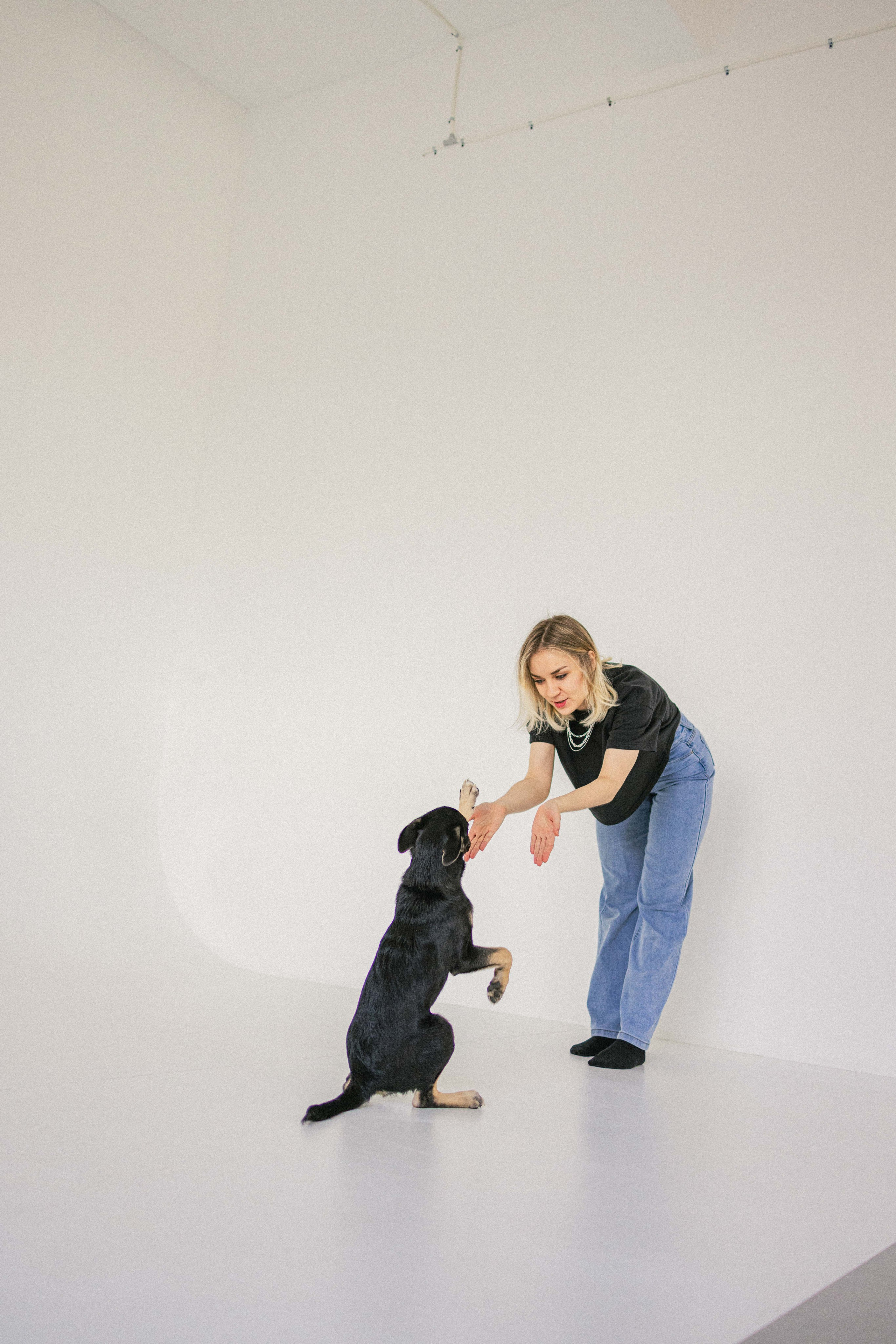 Крис и Тэдди. Фотограф-анималист в Москве Лера Черноног