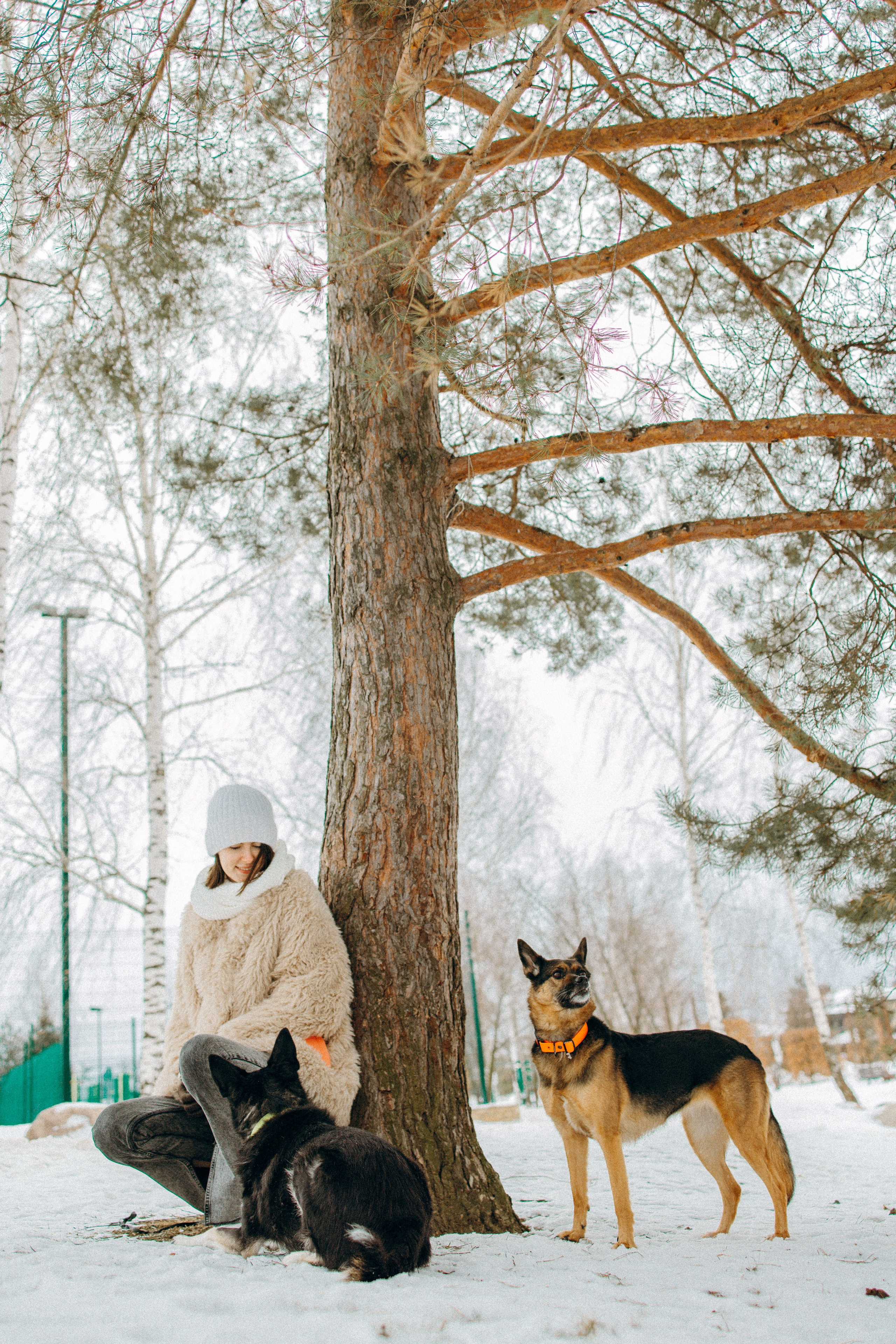 Ника, Матиша и Герда. Фотограф-анималист в Москве Лера Черноног