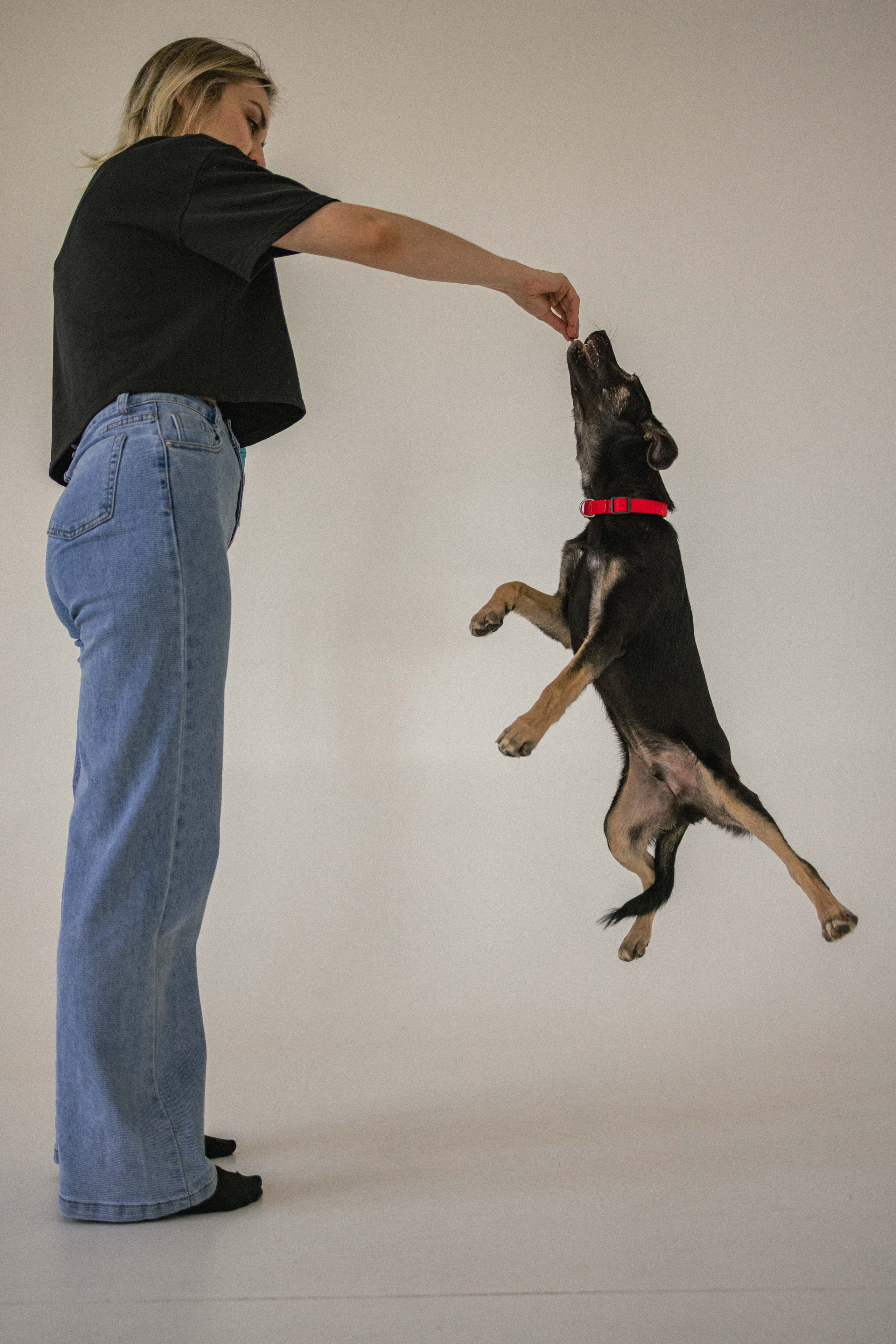 Крис и Тэдди. Фотограф-анималист в Москве Лера Черноног