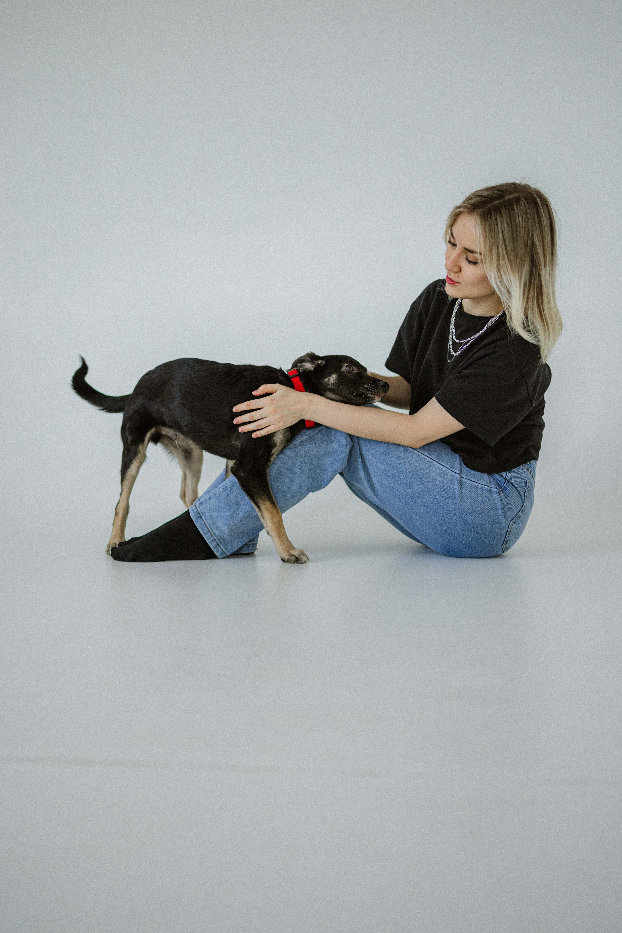 Крис и Тэдди. Фотограф-анималист в Москве Лера Черноног