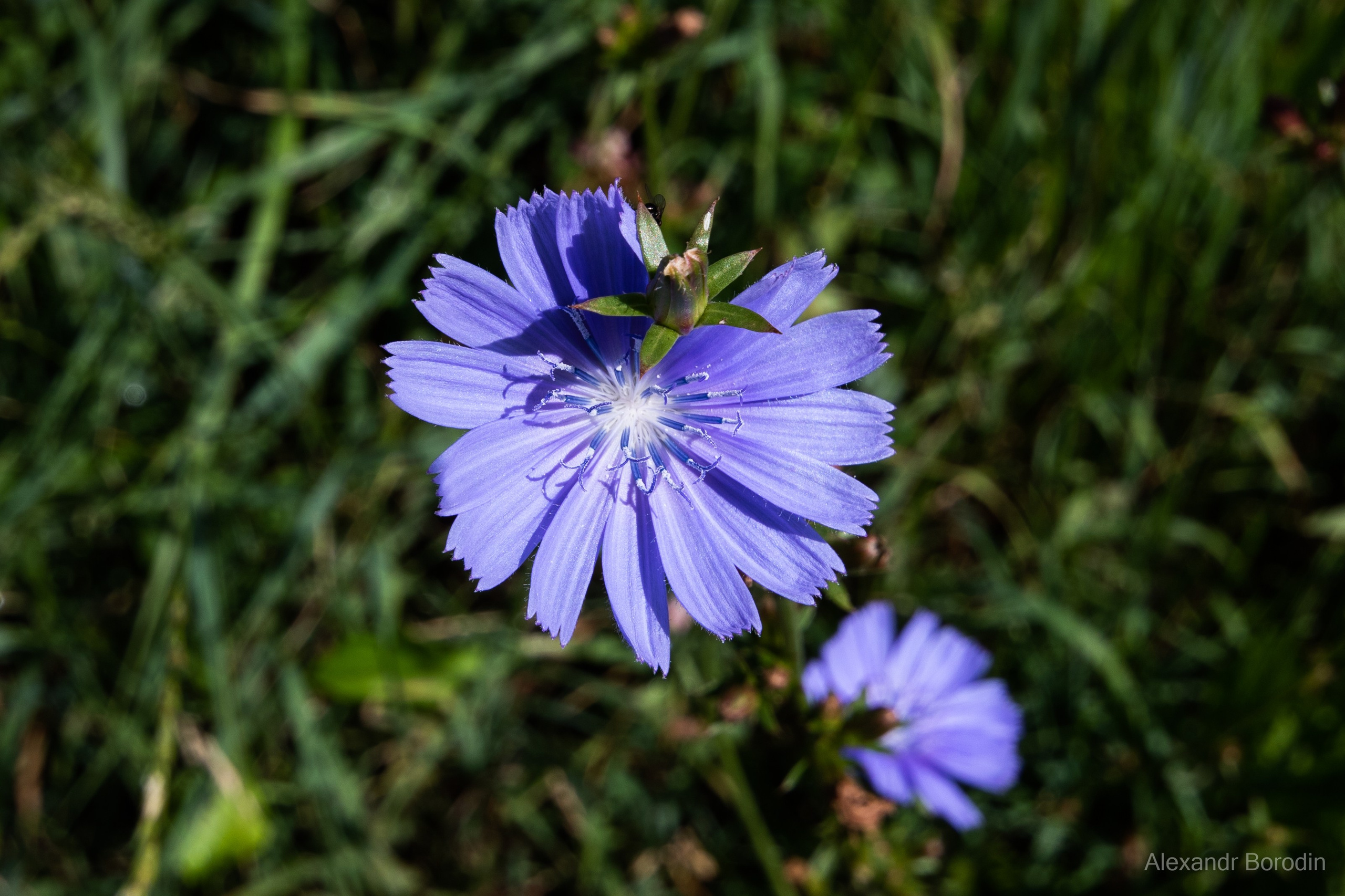 Пейзажи. Профессиональный фотограф Александр Бородин
