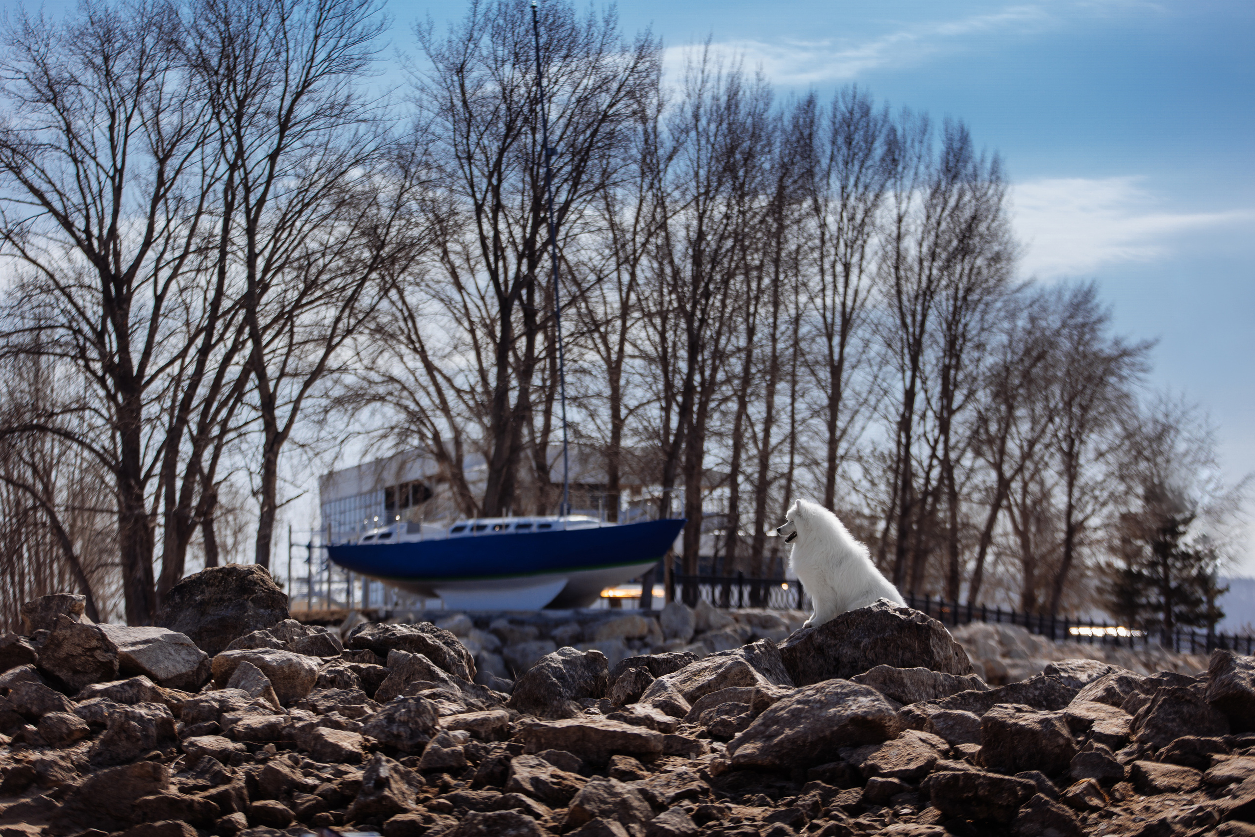 Фотограф-анималист Саша Вязьмина