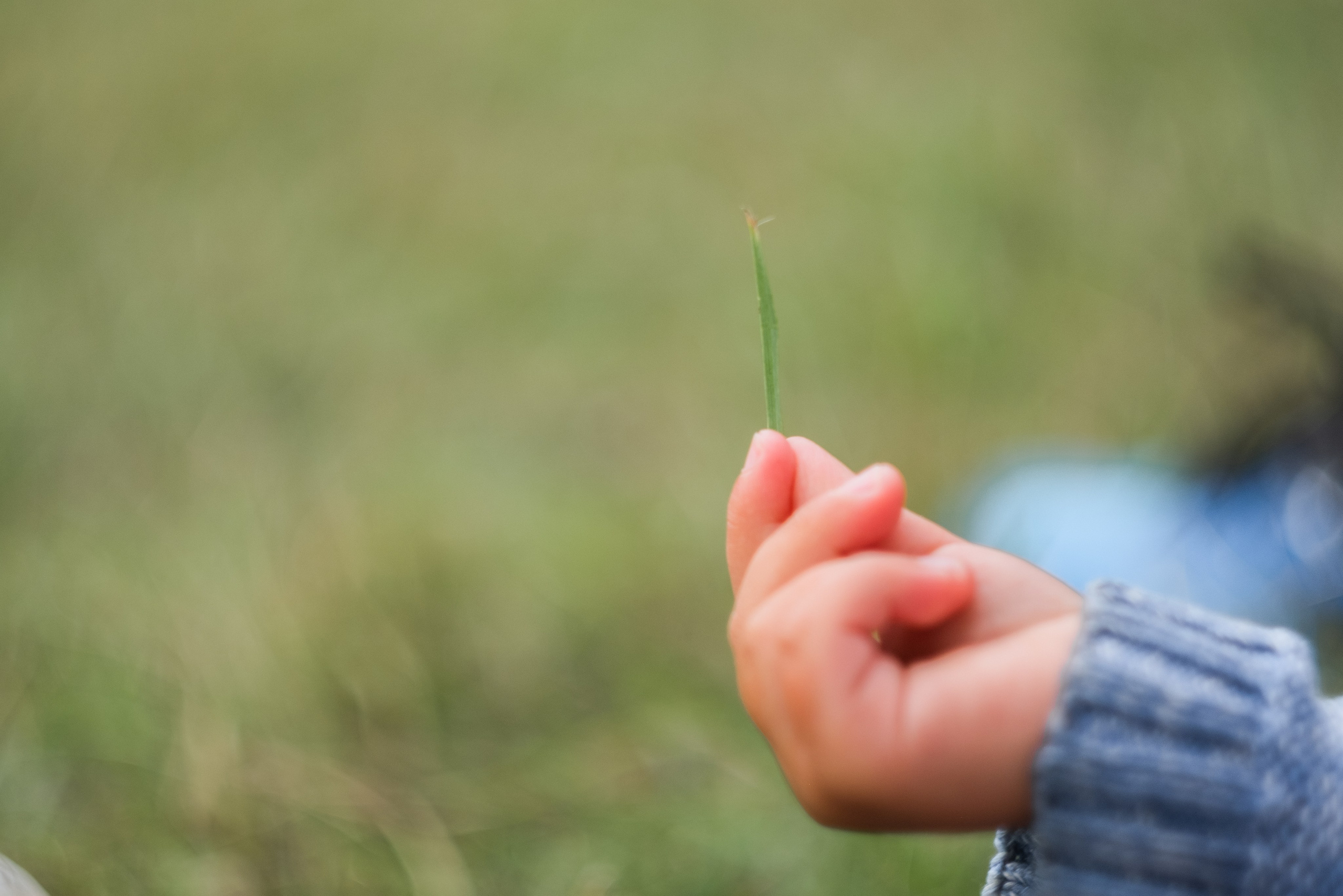 Лагерь «Богослово». Мария Колесникова