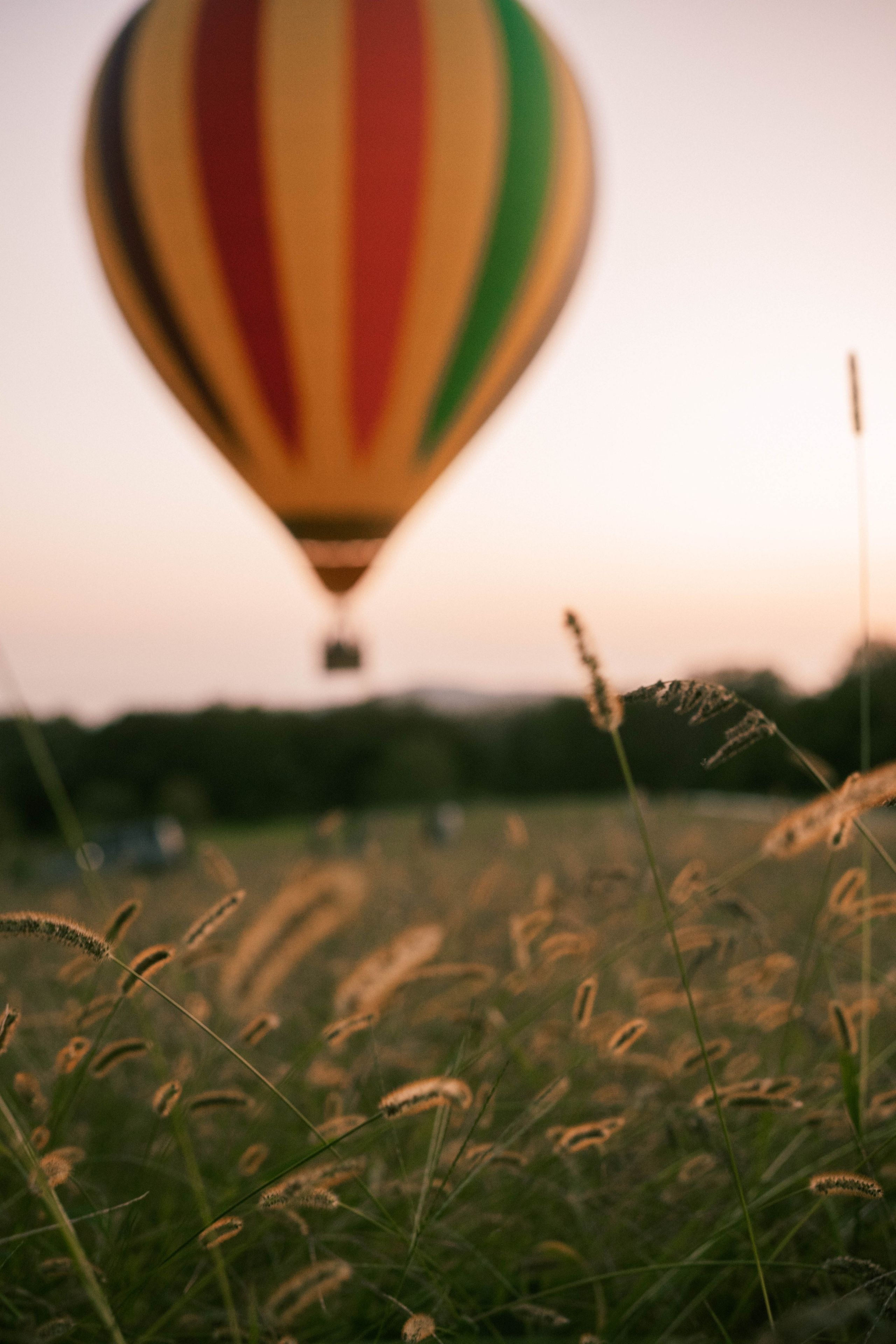 Вика, Лиза и Саша. Фотограф в Сочи Щетинина Анастасия