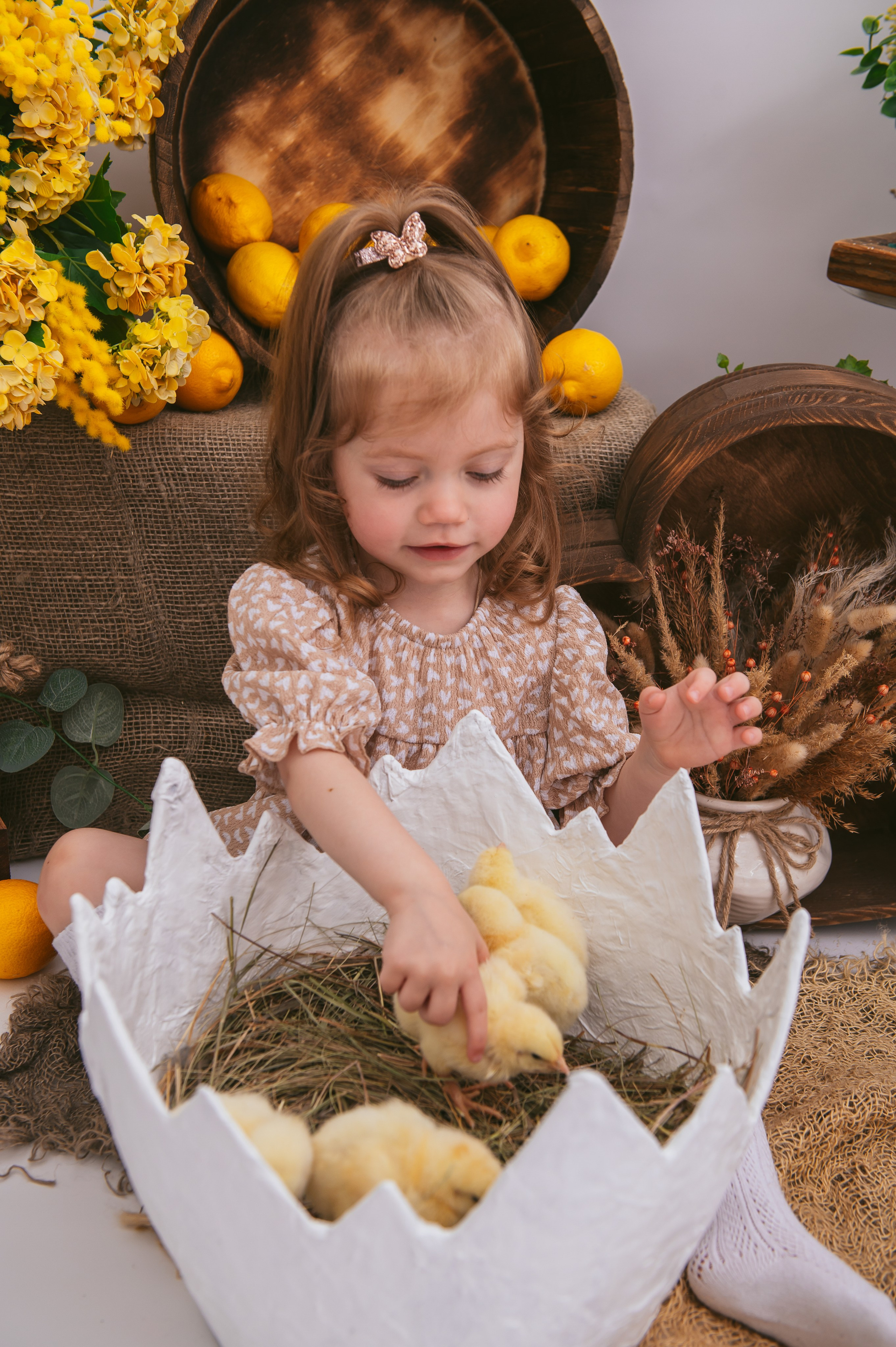 Цыплята. Детский фотограф Магадан