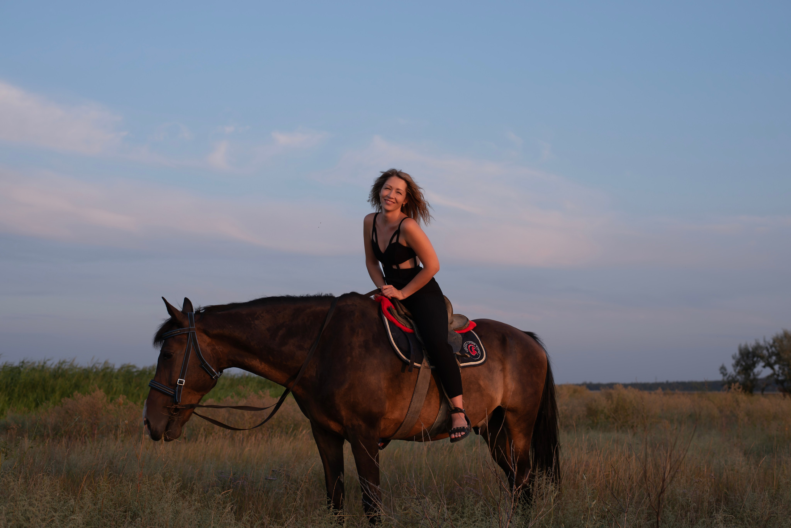 Леди и лошадь. Главная