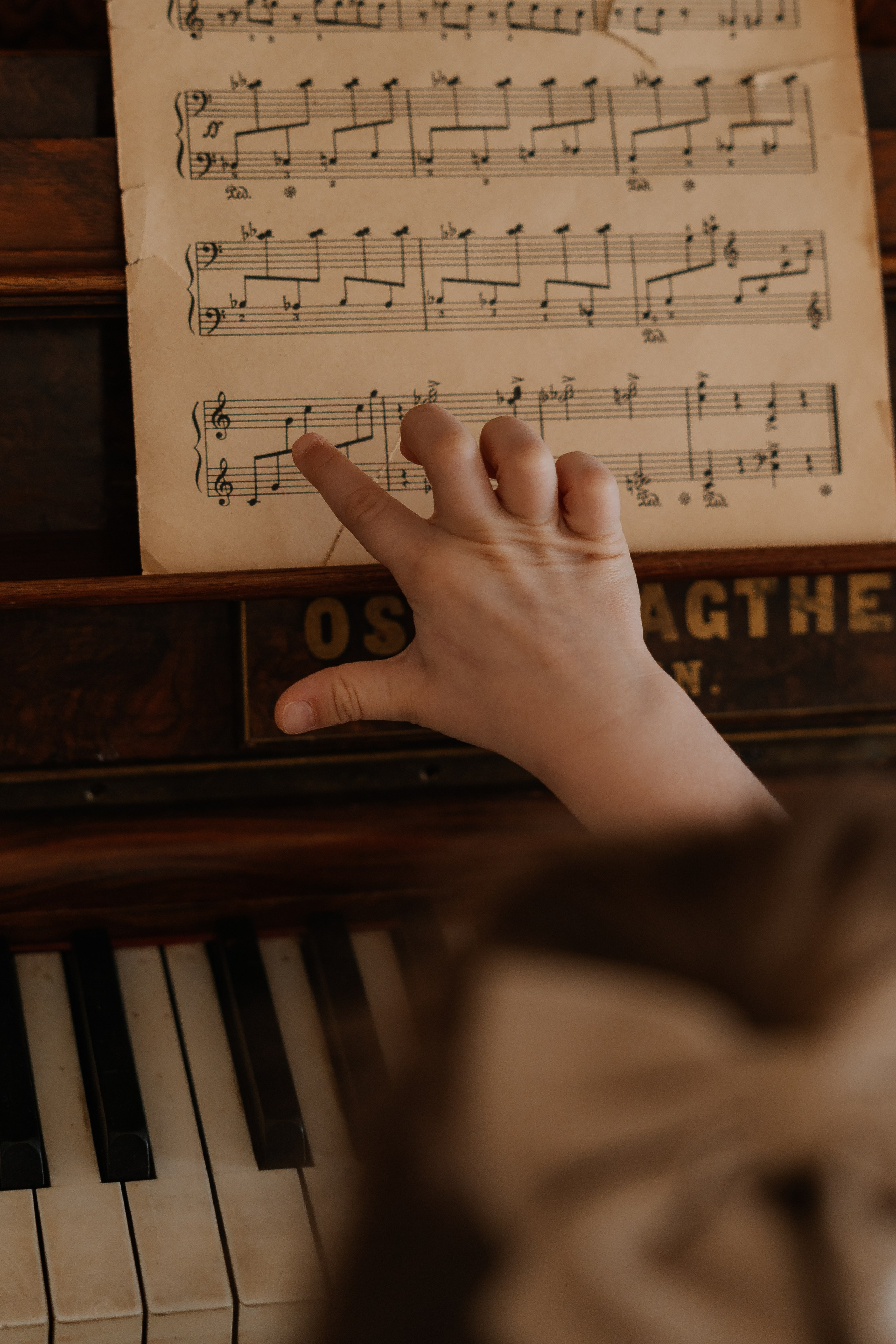 Наташа и Яна. СВАДЕБНЫЙ ФОТОГРАФ КРАСНОЯРСК