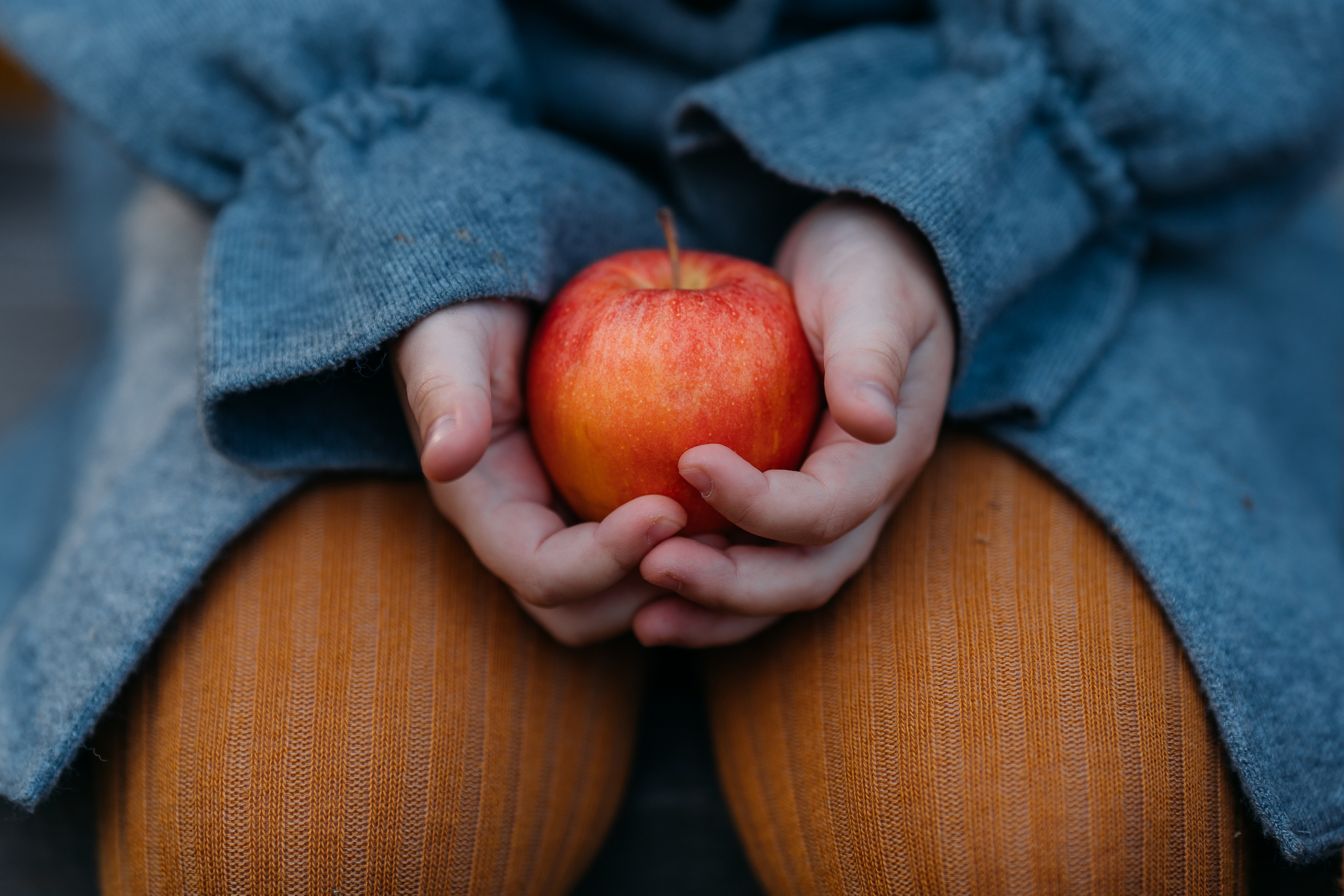 Настя и мишка. СВАДЕБНЫЙ ФОТОГРАФ КРАСНОЯРСК