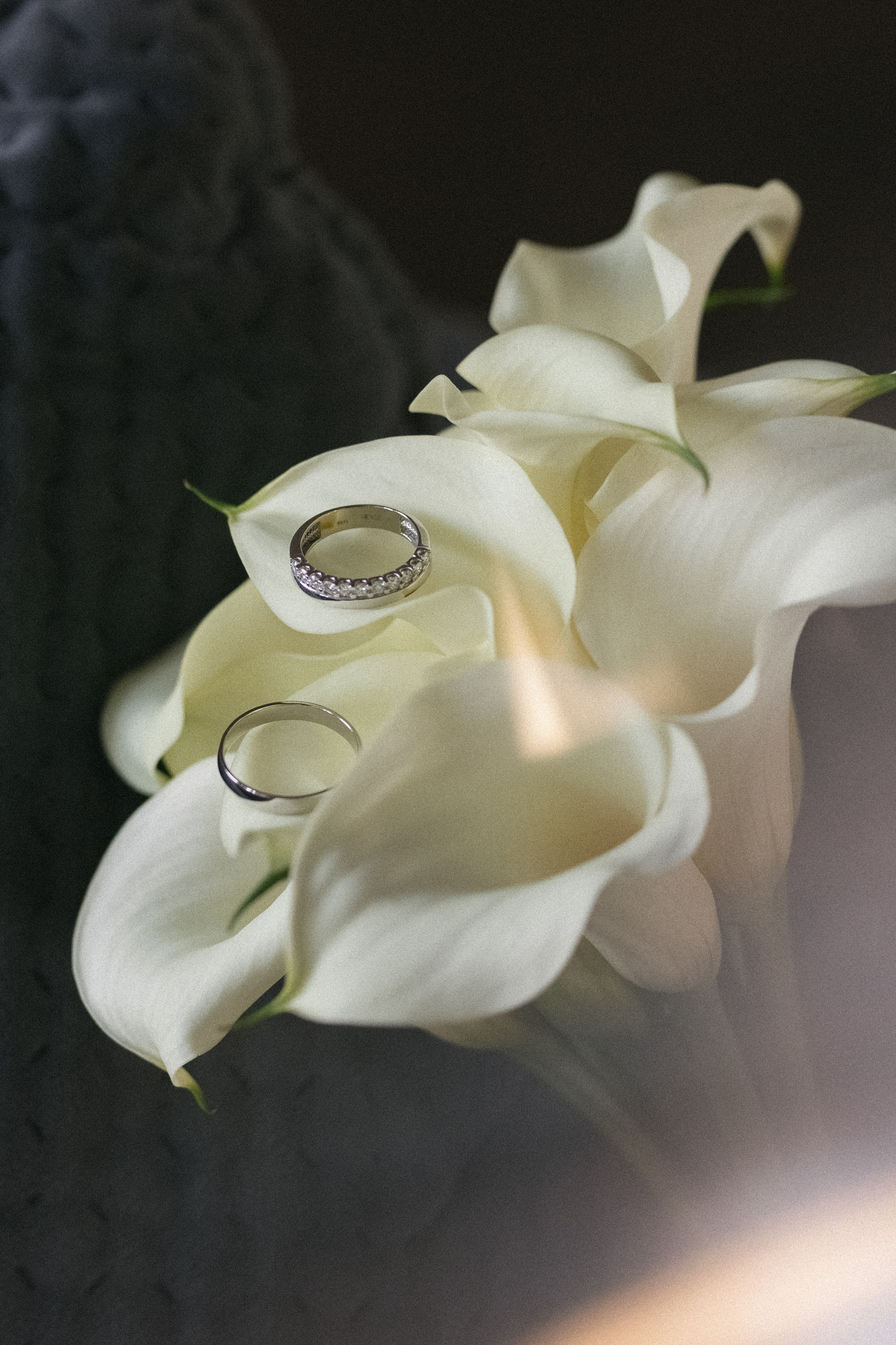 АНАСТАСИЯ & ДМИТРИЙ ` 05.07.25. Maria Startseva Photo