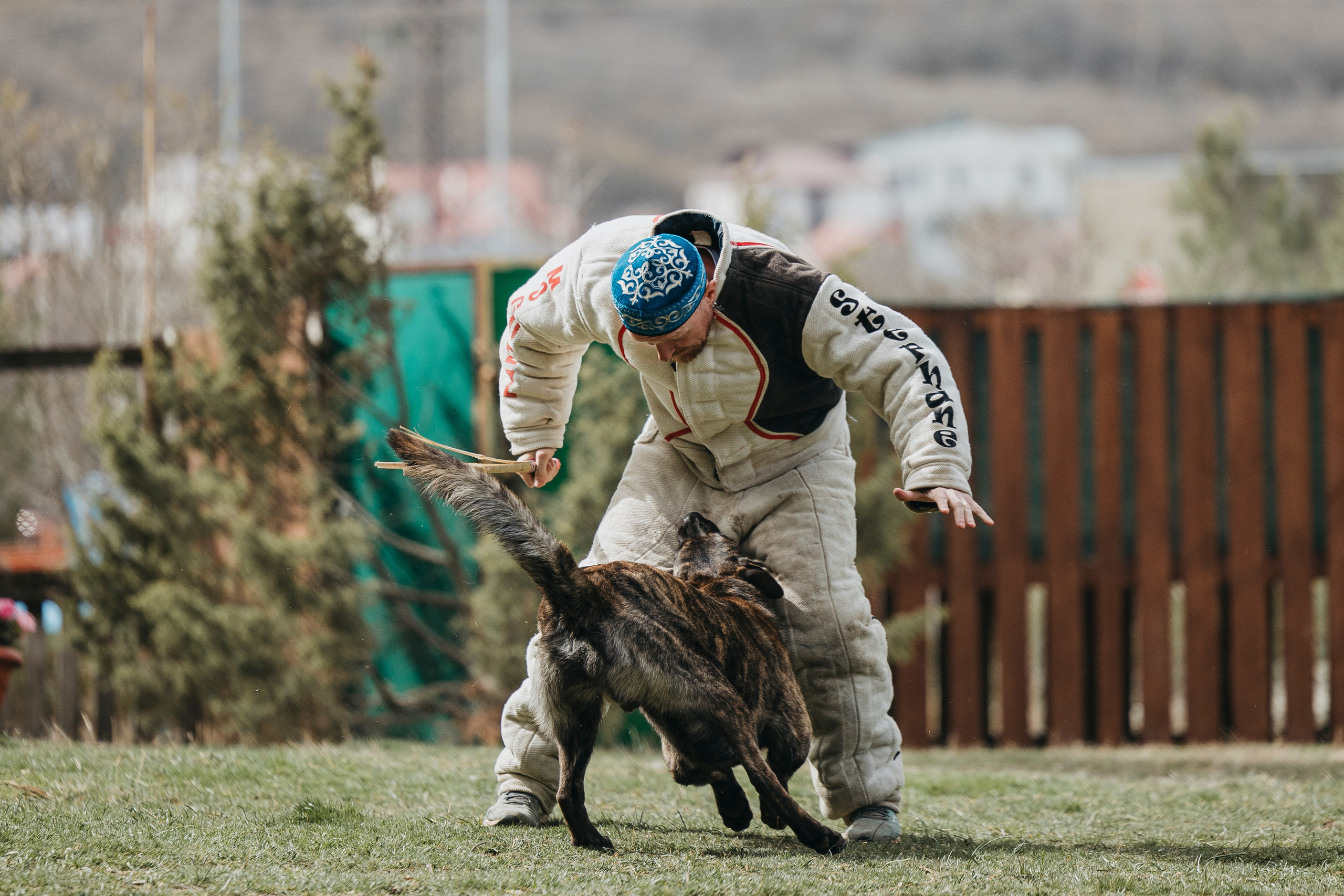 Геленджик Мондьоринг. Фотограф-анималист Анна Маринич